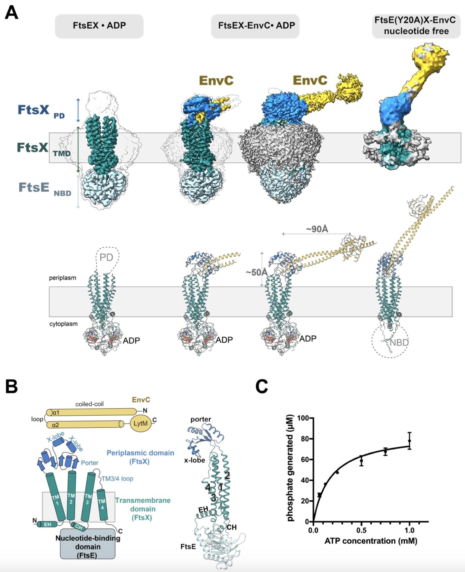 figure from linked cit.