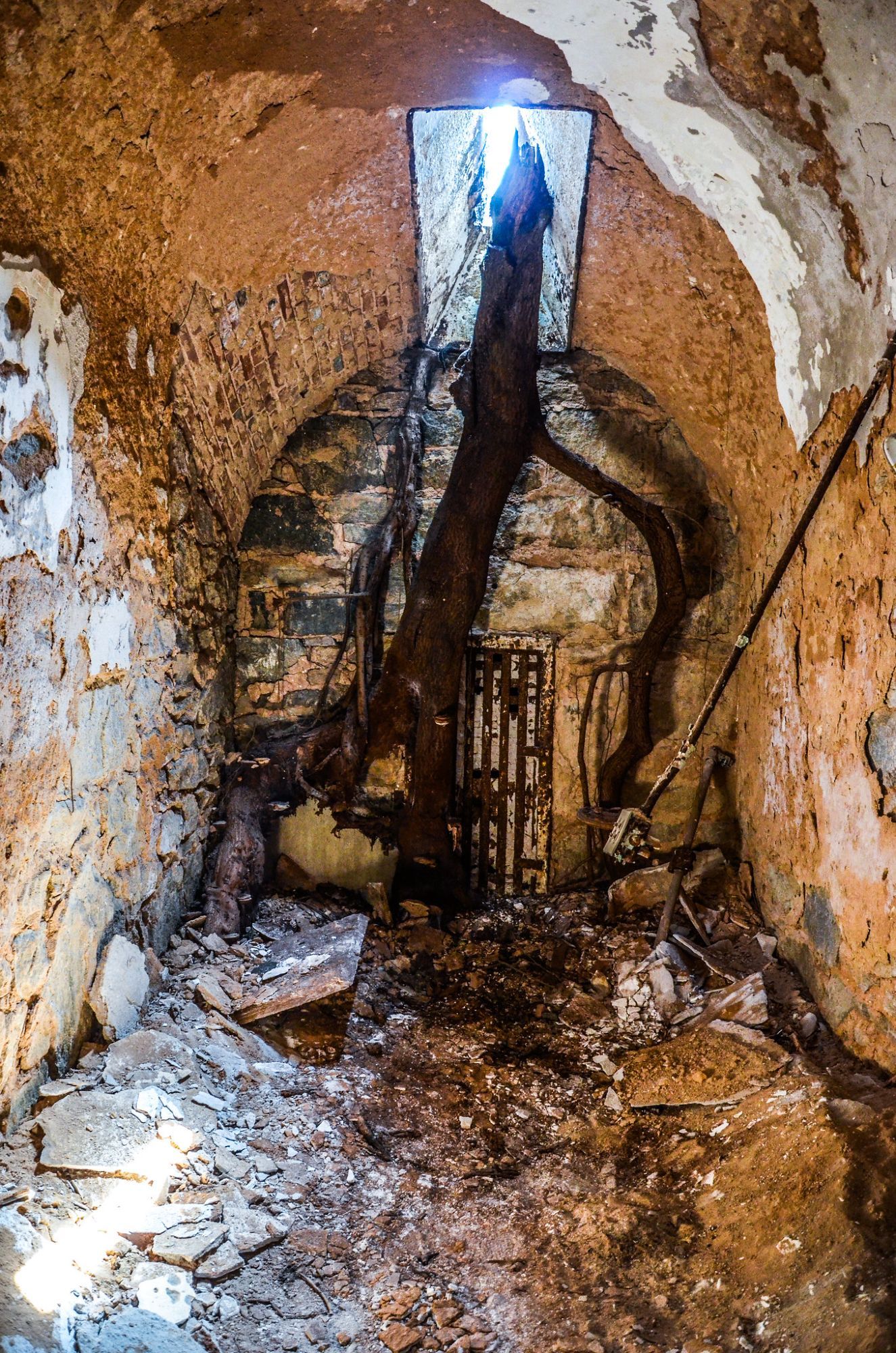 Tree growing through the prison widow. Eastern State Penitentiary never disappoints.