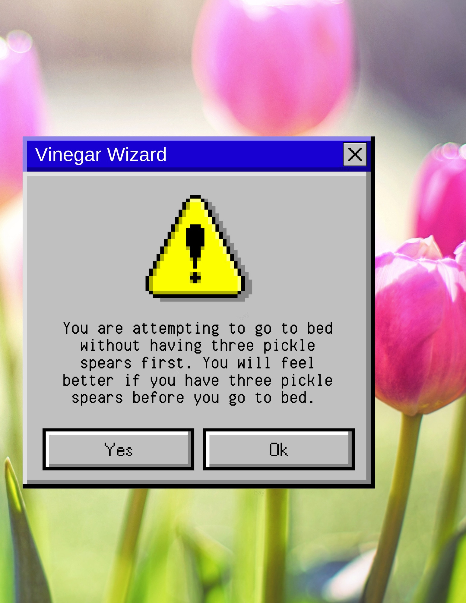 Program called Vinegar Wizard gives you a warning message that says you have to have three pickle spears before going to bed