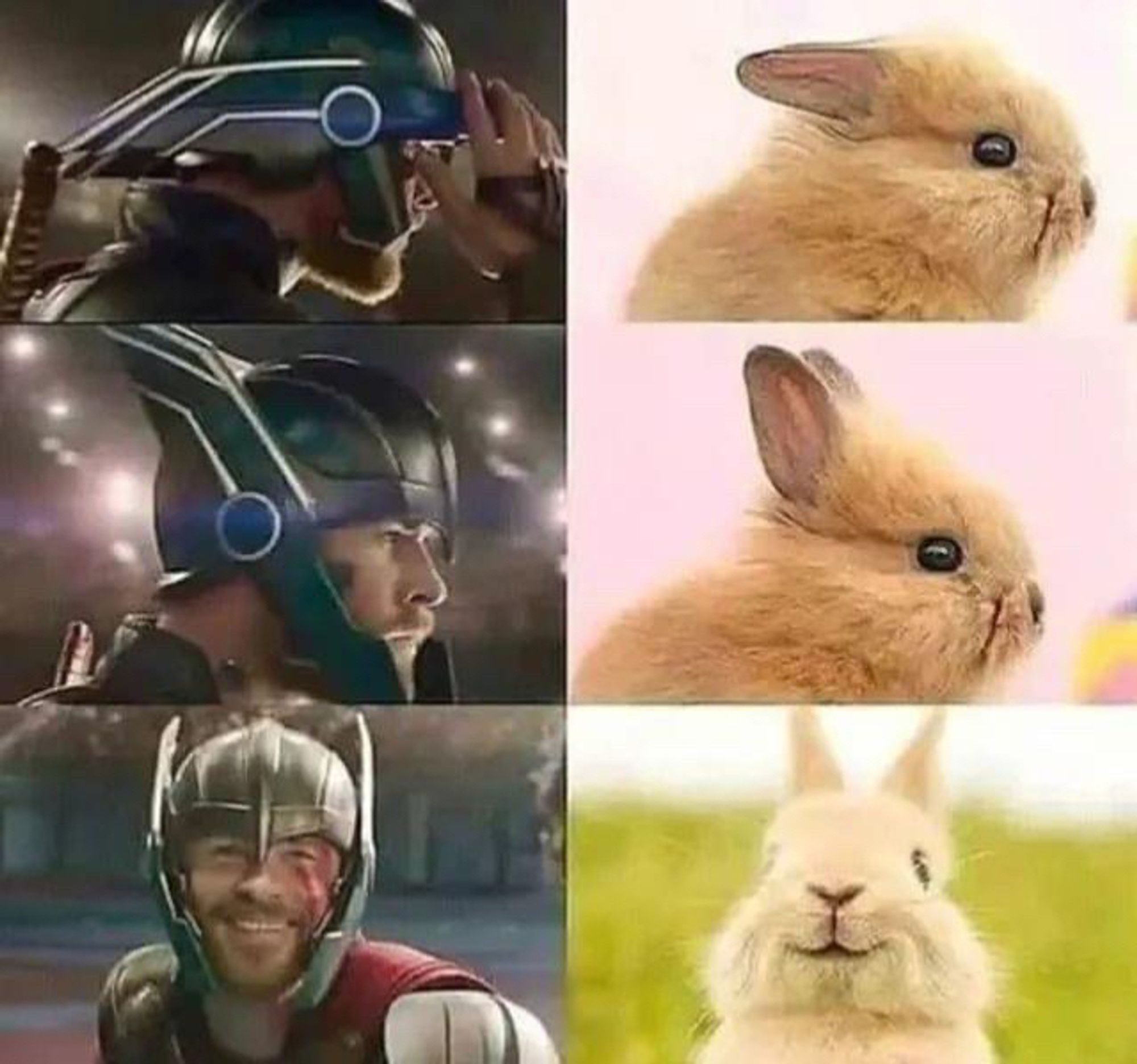 Three sets of pictures comparing Thor's helmet in Thor Ragnarok to a little bunny rabbit. The ears match the fins on his helmet!