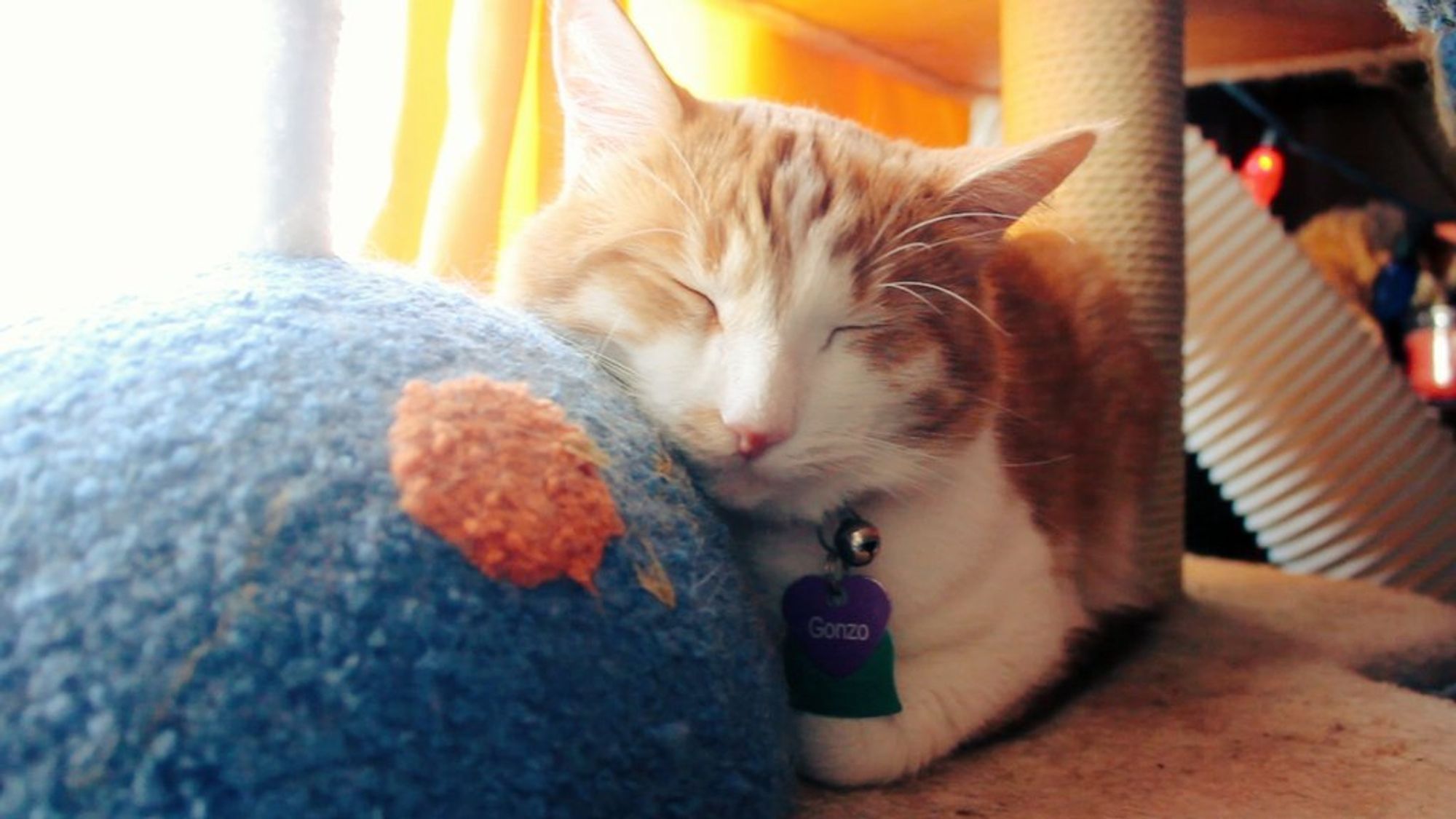 Orange and white cat resting his face on a carpeted planet detail of a space themed cat tree. He says, "Good morning Gonzobongos! This planet is a good pillow."