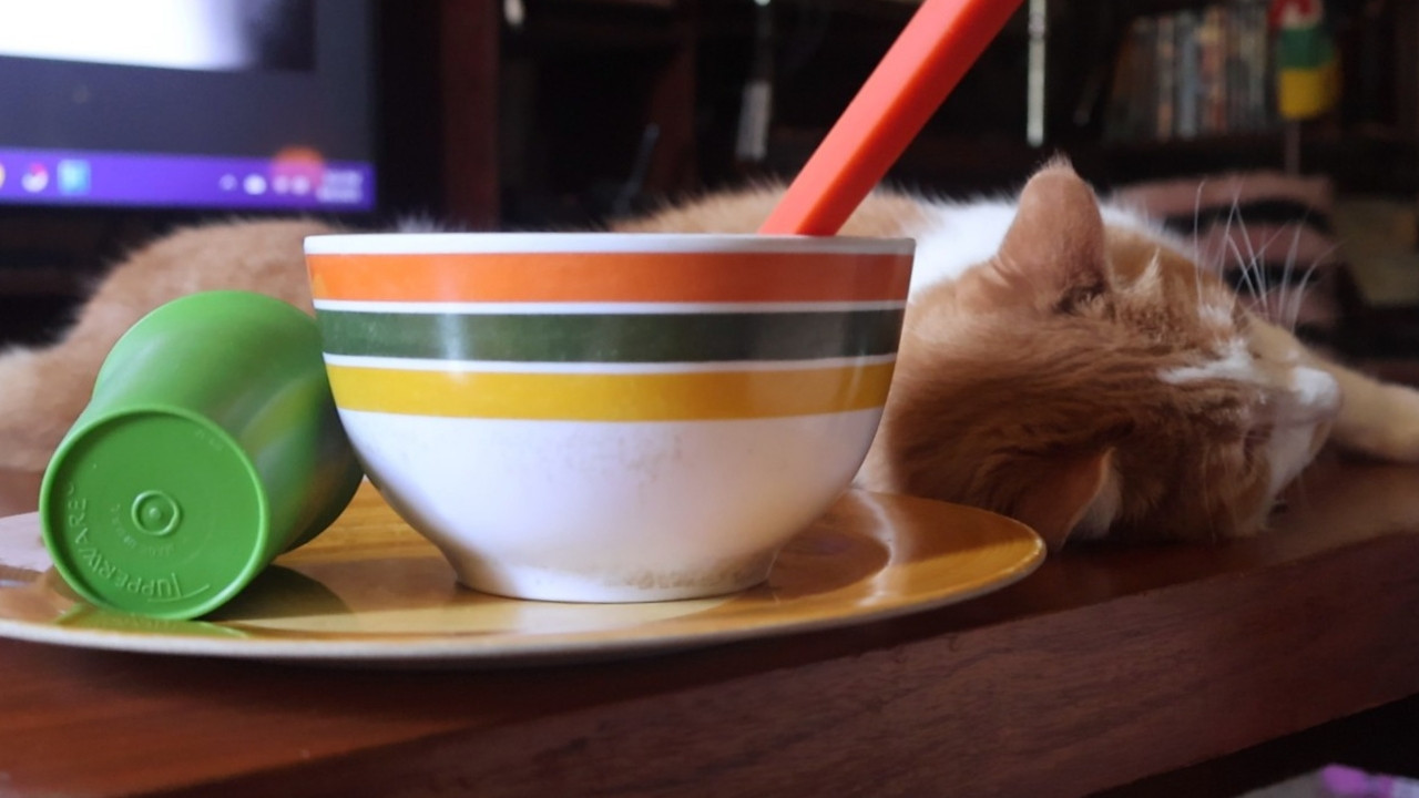 Orange and white cat lying on a table looking away from a striped cereal bowl. He says, "Good morning Gonzobongos! Go ahead, eat your cereal without offering me any. I don't even like fruity pebbles anyway. See if I care."