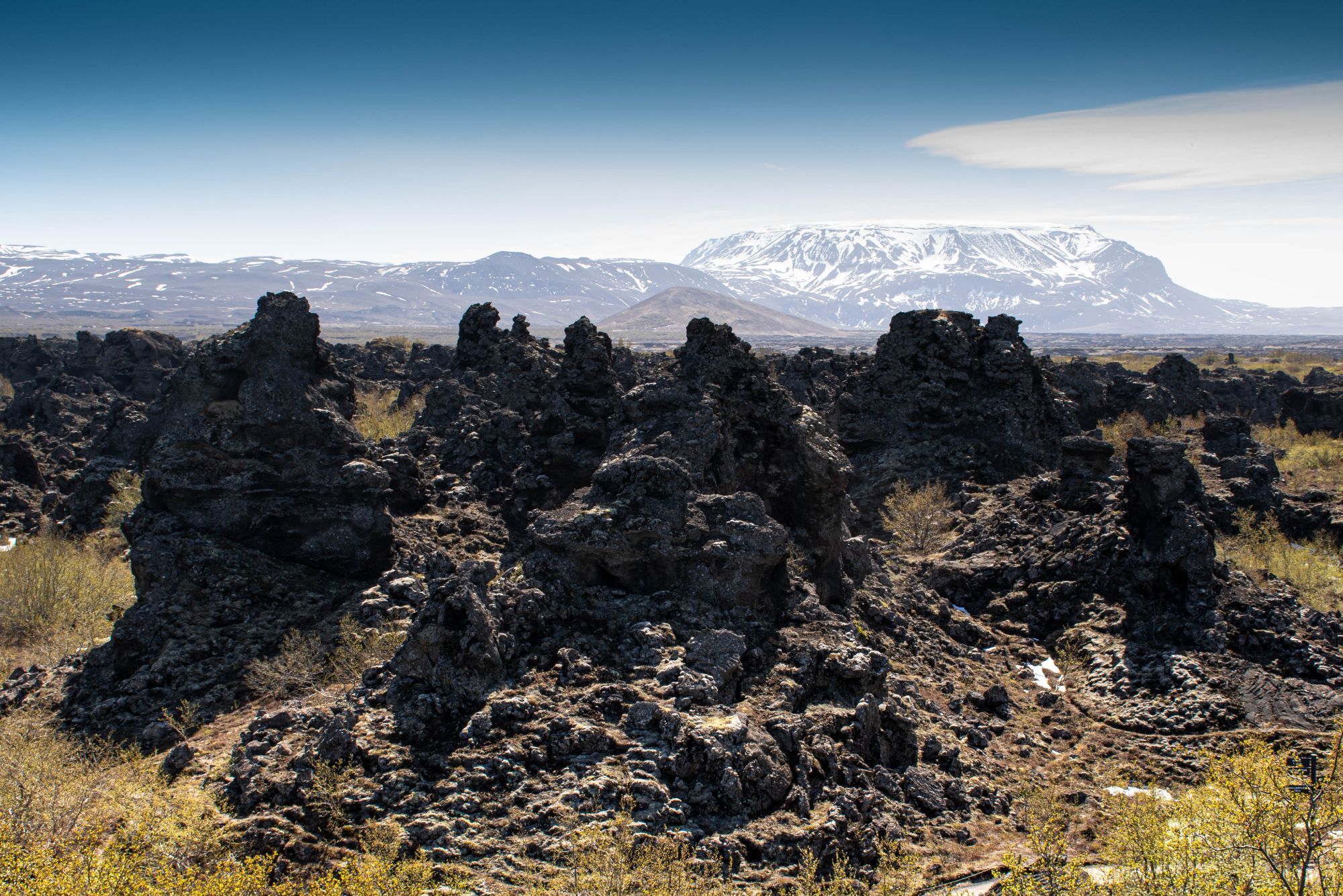 field of lava scluptures with snowy mountains behind