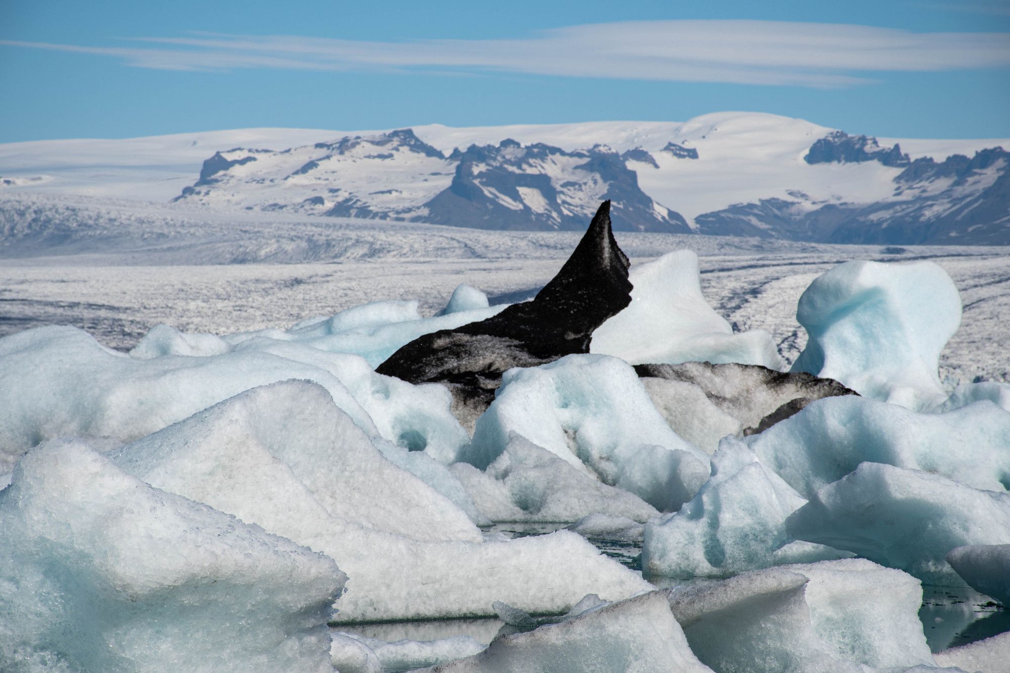 Ice sculptures floating in a glacier lagoon with reflections