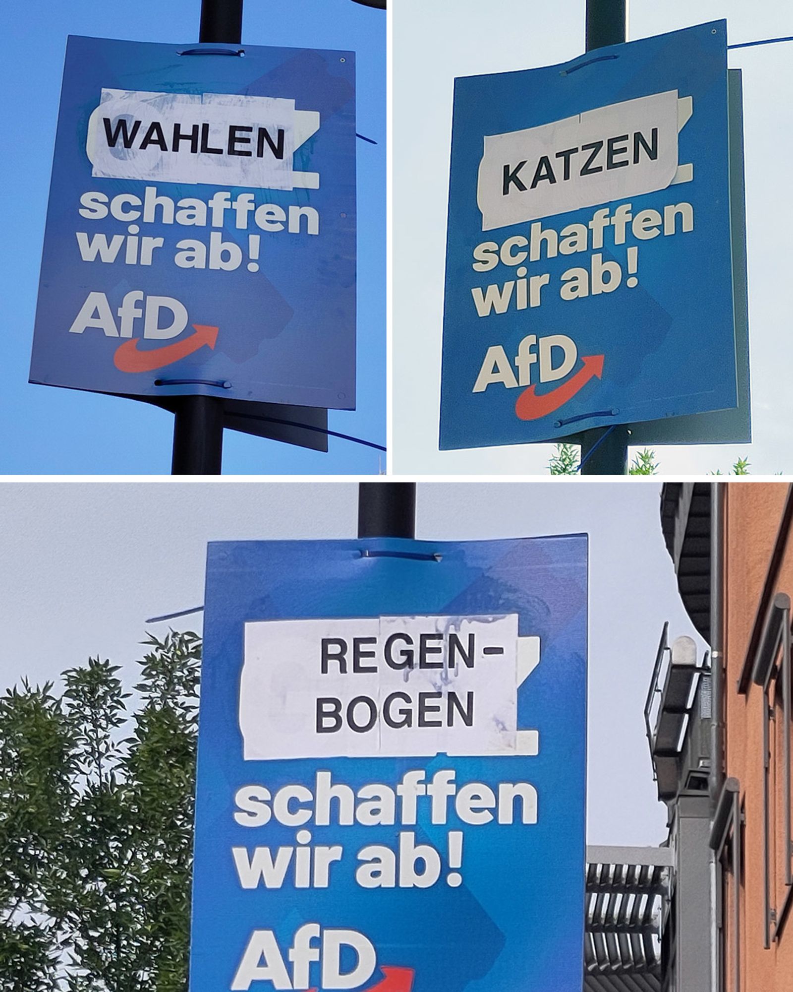 Wahlplakate AfD 2024 "Wahlen, Katzen, Regenbogen schaffen wir ab"