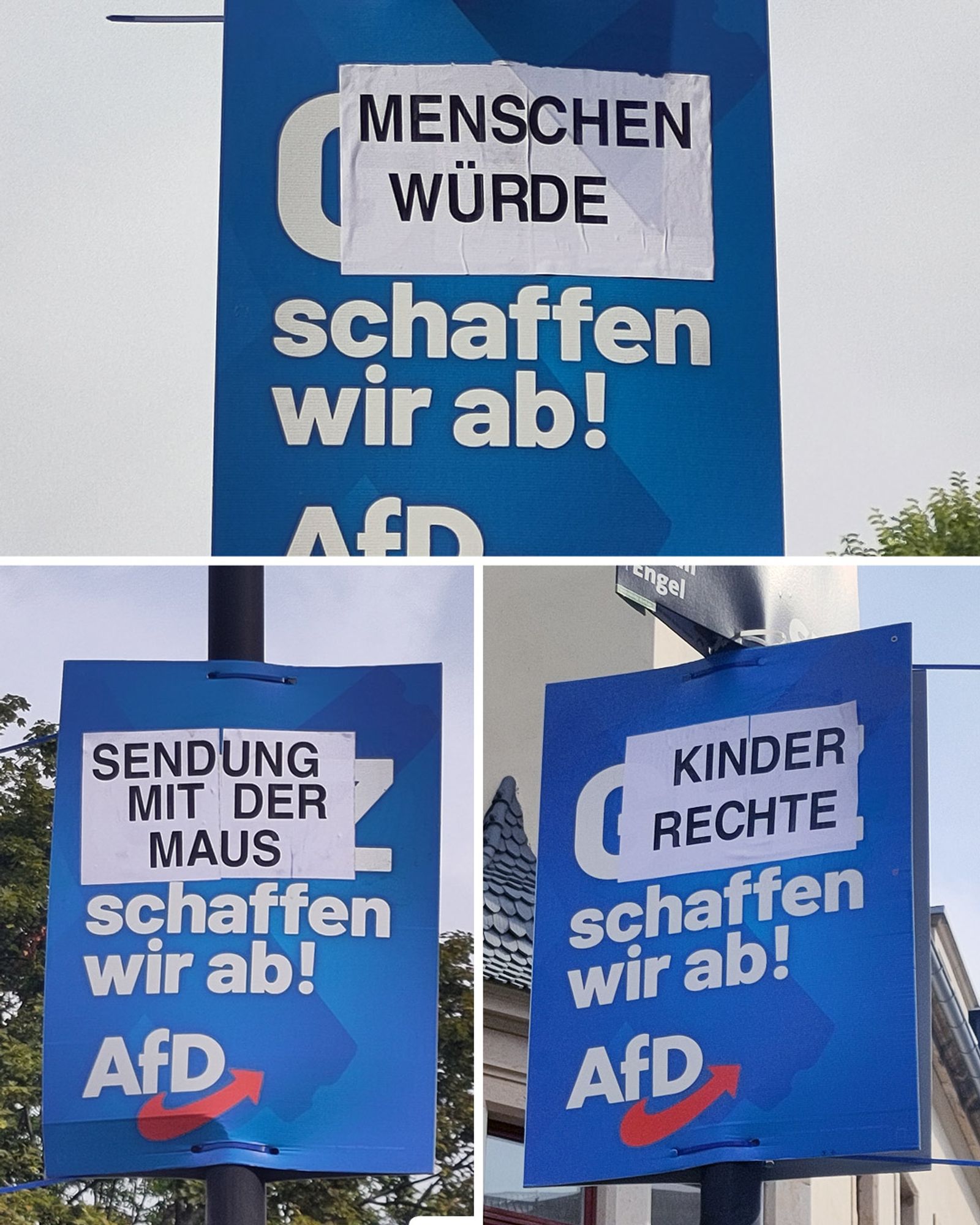 Wahlplakate AfD 2024 "Menschenwürde, Sendung mit der Mauz, Kinderrechte schaffen wir ab"