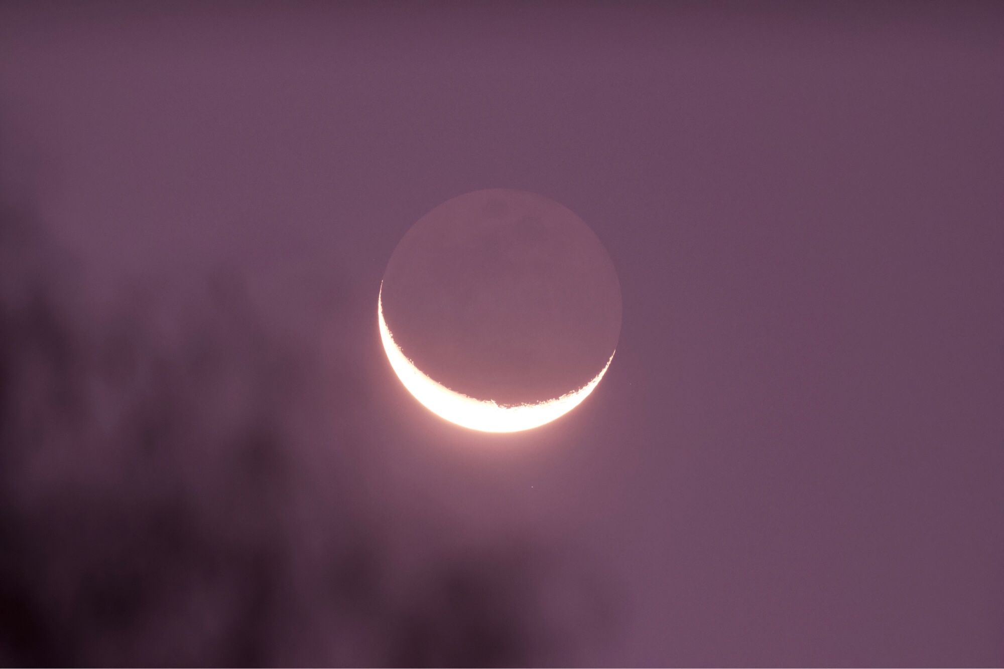 A 12% illuminated crescent moon, with shadowed portion visible in a slightly lighter shade of the same pinkish purple as the sky behind it, with out of focus shadowy tree tops in lower left corner.