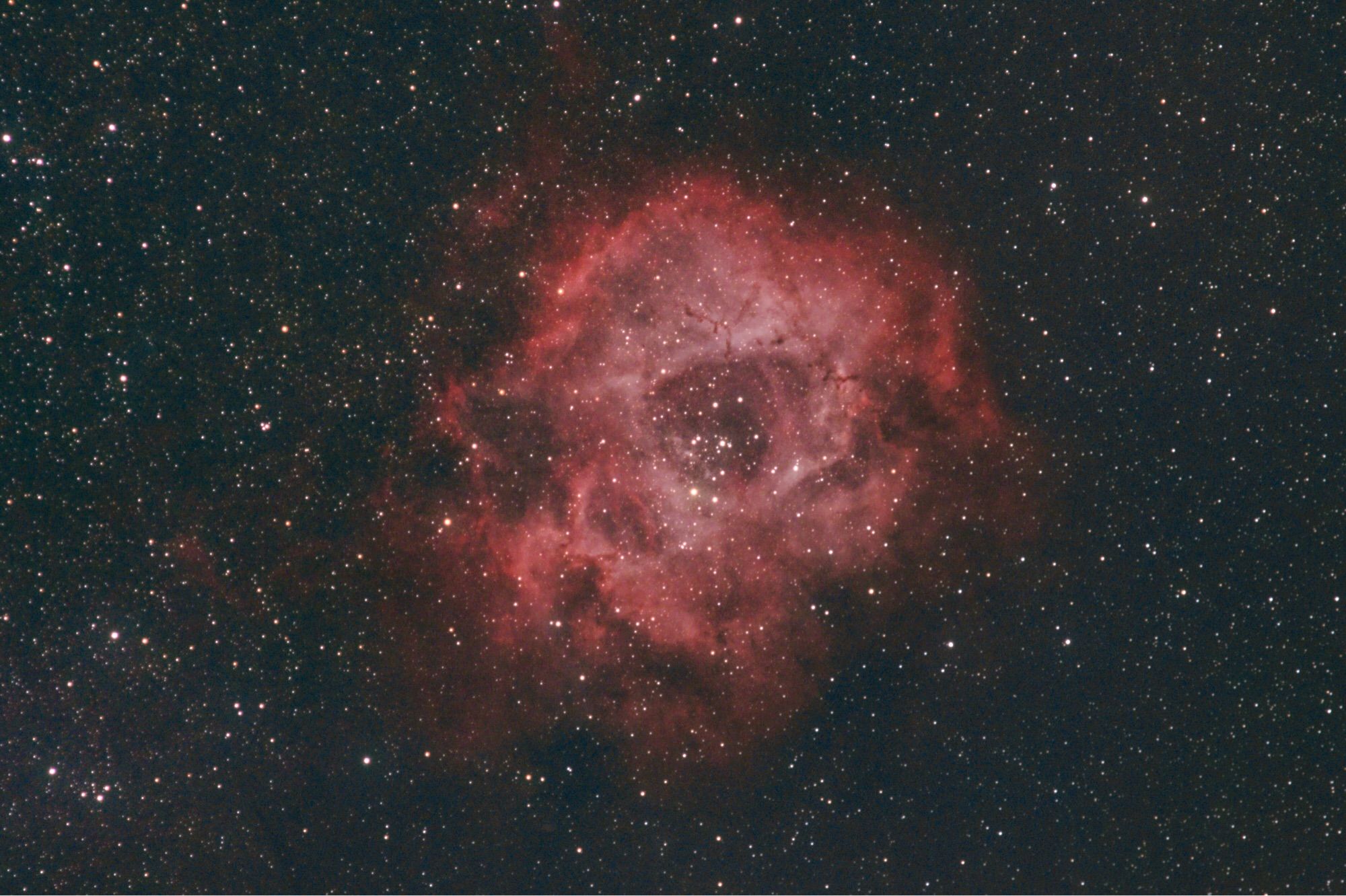 The rosette nebula, seen here as a vaguely skull shaped cloud of gas and dust in shades of red and pink, against a black background with many small stars