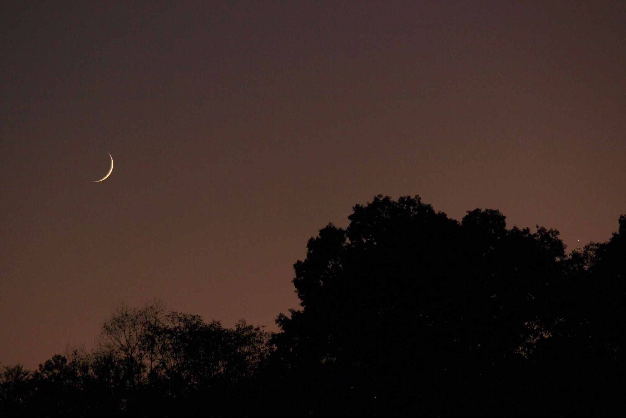 Silhouetted tree line against a dull purplish orangeish sky just after sunset, with a very thin crescent moon to the left and Venus, seen as a tiny point of light far to the right, barely above the trees