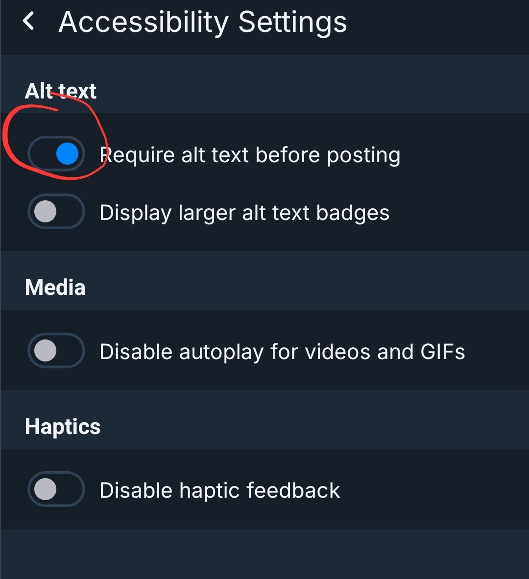 Screenshot of the accessibility settings of bluesky. The setting for "require alt text before posting" is enabled and circled in red.