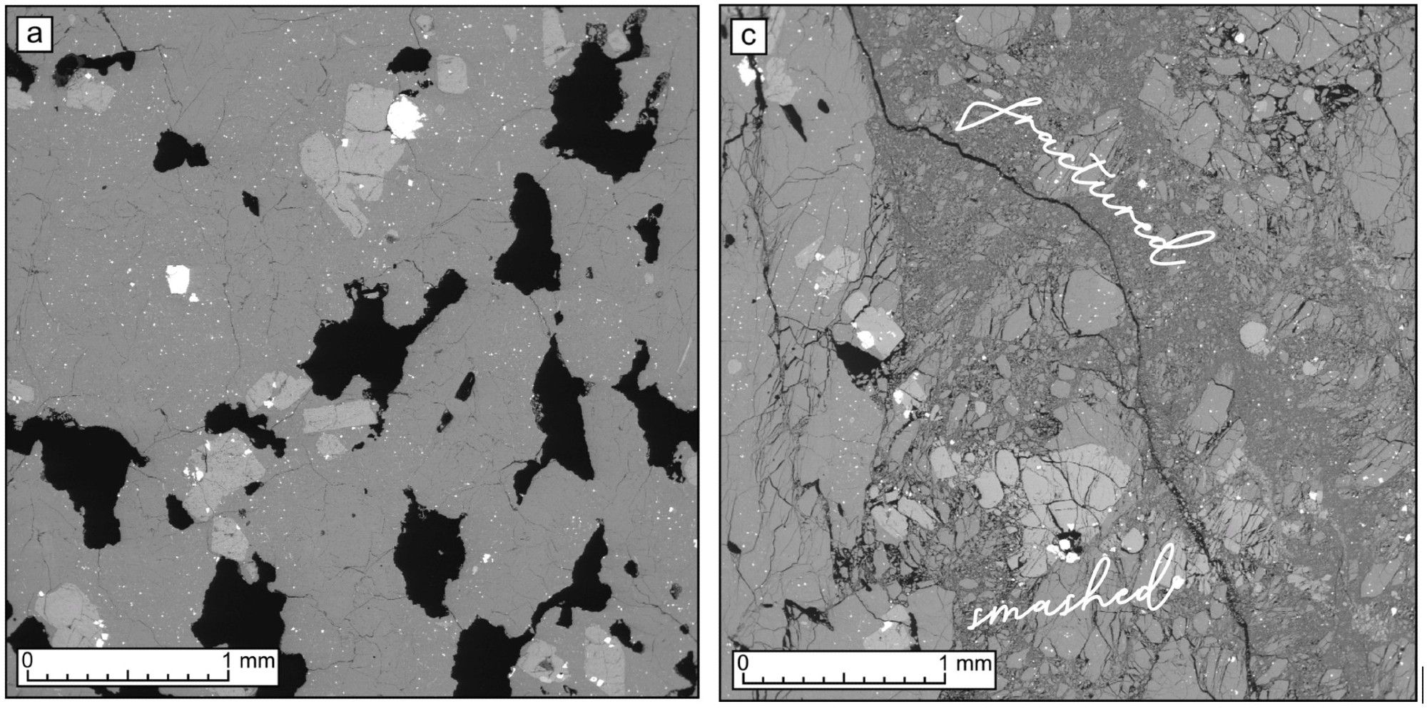 Side-by-side scanning electron micrograph images of andesite from Volcan de Colima, Mexico. The image on the left hand side exhibits many pores, relatively undamaged. The image on the right is mostly characterised by minute fragments of pulverised groundmass, with a signle fracture running through the centre from top to bottom.