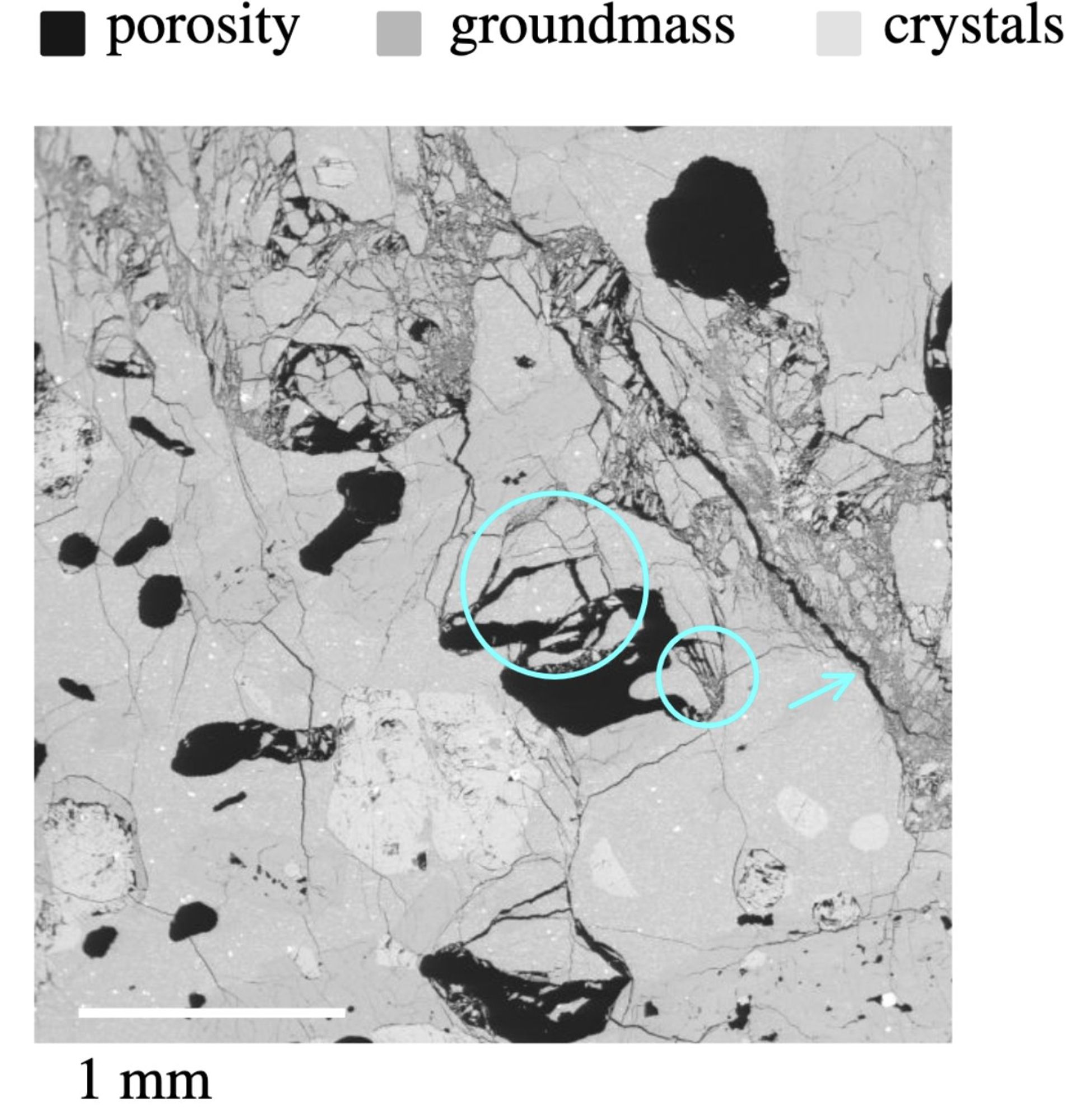 A scanning electron microscope image of andesite from Ruapehu volcano, Aotearoa New Zealand. The andesite is light grey, punctuated by black pores and lighter-coloured crystals. Circled in cyan is evidence of cataclastic pore collapse in the direction of pre-existing fractures (highlighted by an arrow).