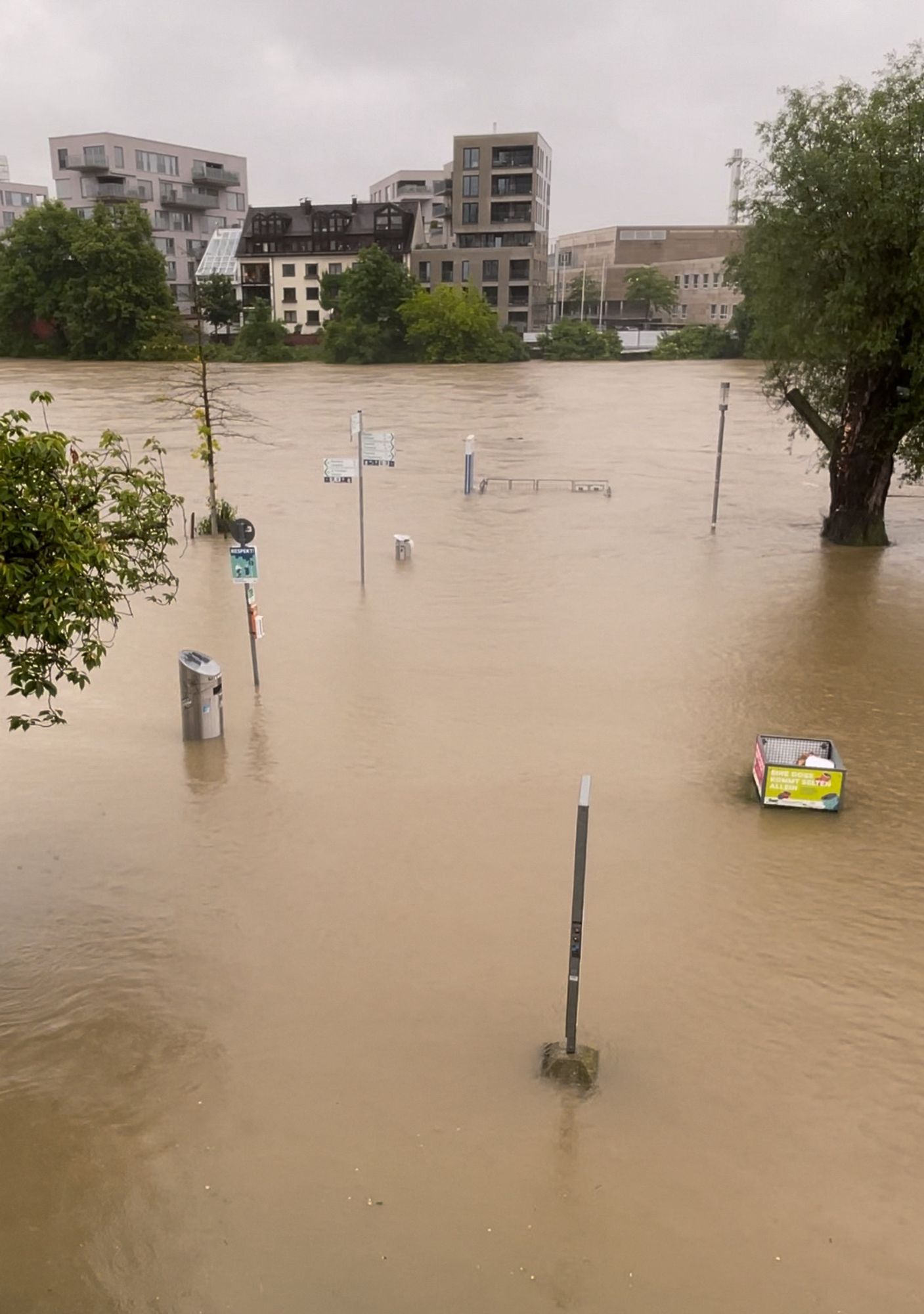 Bäume, Mülleimer und Straßenlaternen stehen in einem überfluteten Gebiet.