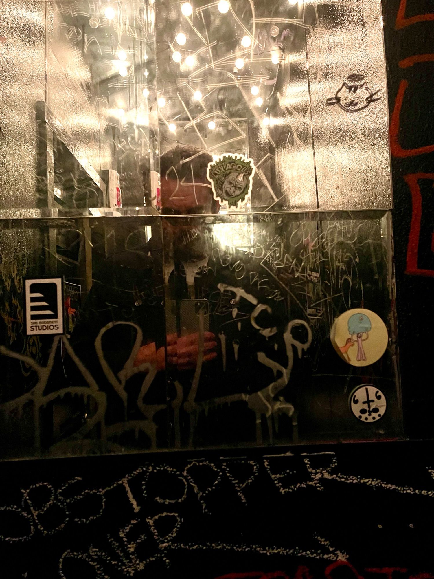 Me in a bar bathroom in beautiful SE Portland