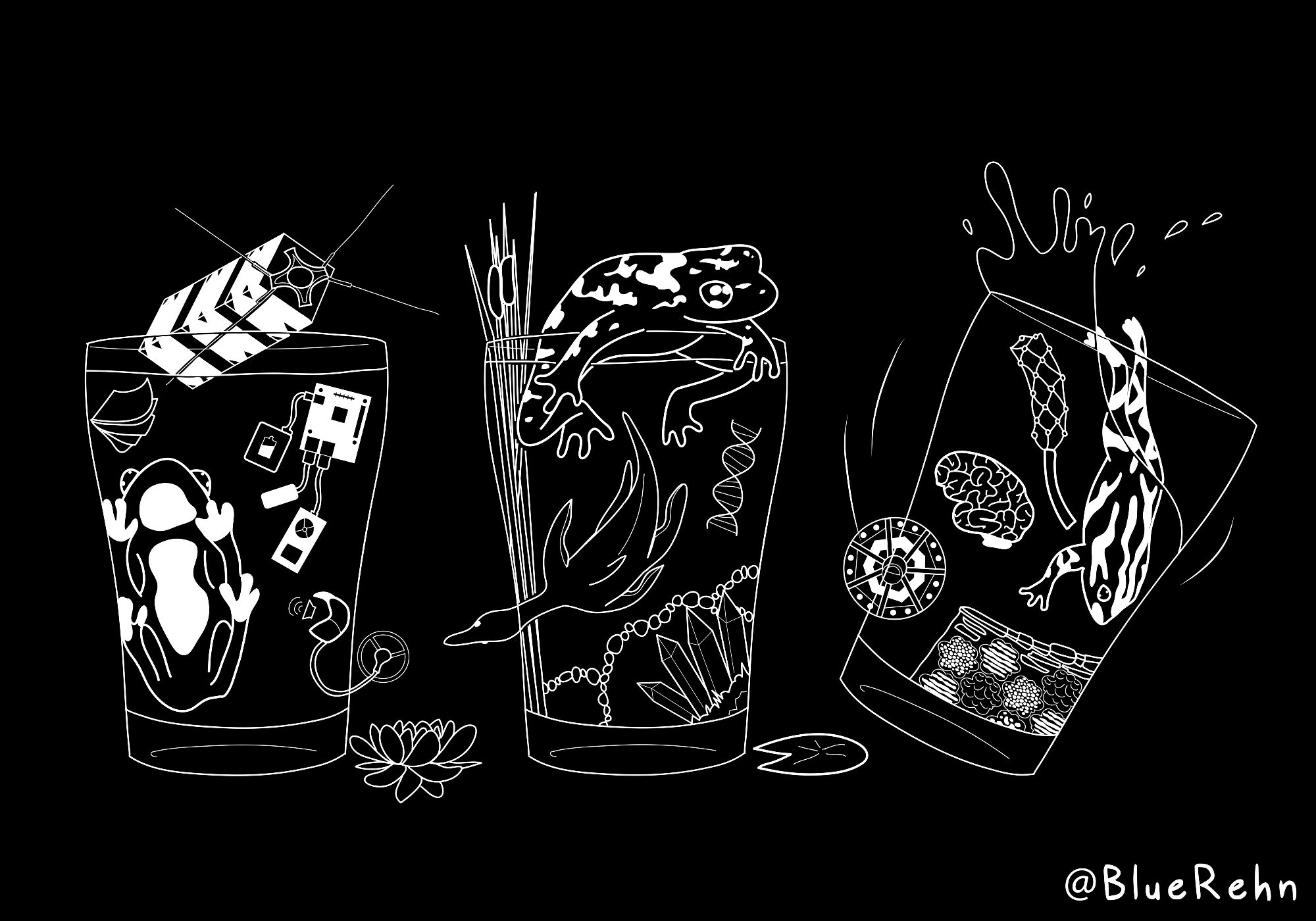 A digital illustration with white lines on a black background of three pint glasses arranged left to right, each containing a frog and multiple objects. The left glass shows the underside of a frog inside the glass, a satellite, a notepad, a circuit board attached to three devices, and a cochlear implant. The middle glass contains a frog at the top resting on the rim, reeds, a pliosaur, a strand of DNA, a curved fish trap made of rocks, and crystals. The right glass contains a striped frog leaping into it with a splash, a Stentrode electrode array, a brain, an orbital engine, and a Living Seawalls segment made up of patterned hexagons