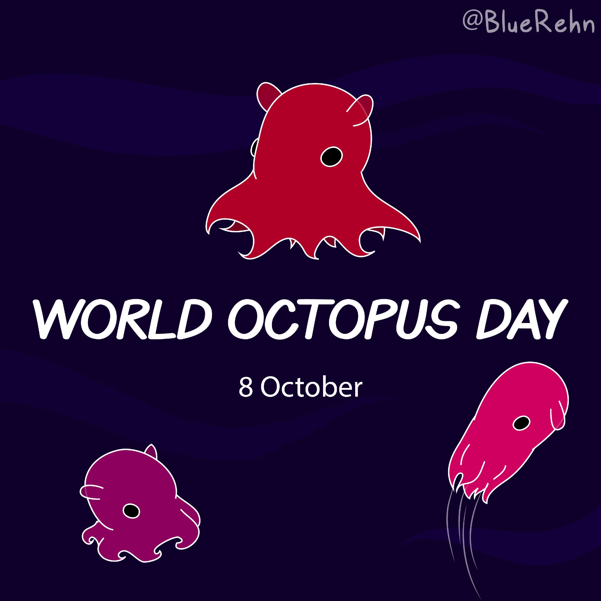 An illustration of three small dumbo octopuses swimming on a dark blue background, with text that reads 'World Octopus Day, 8 October'