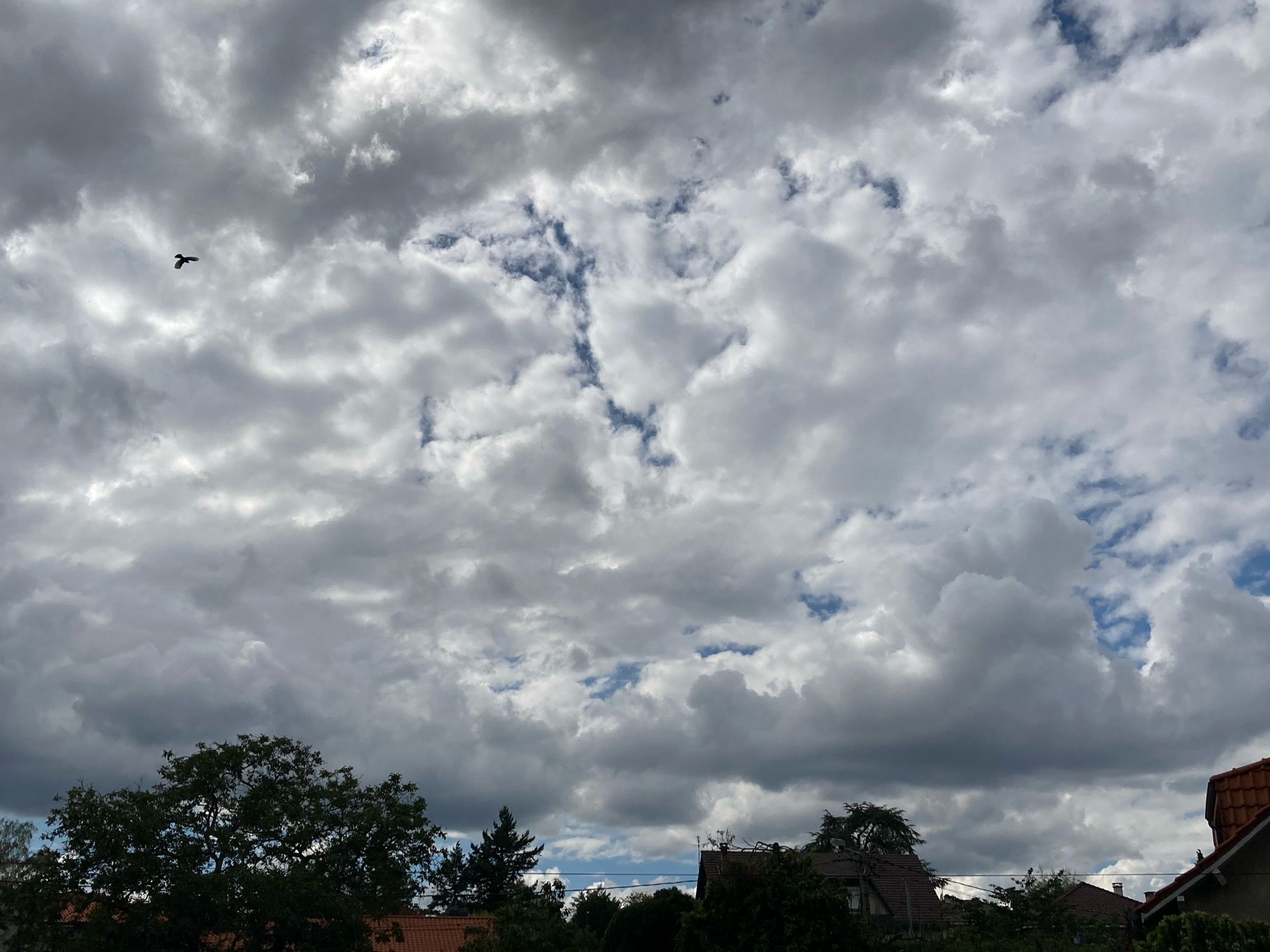 Le ciel est tout couvert de nuages blancs laissant apparaître quelques taches de bleu qui peuvent faire penser qu’ils sont craquelés.