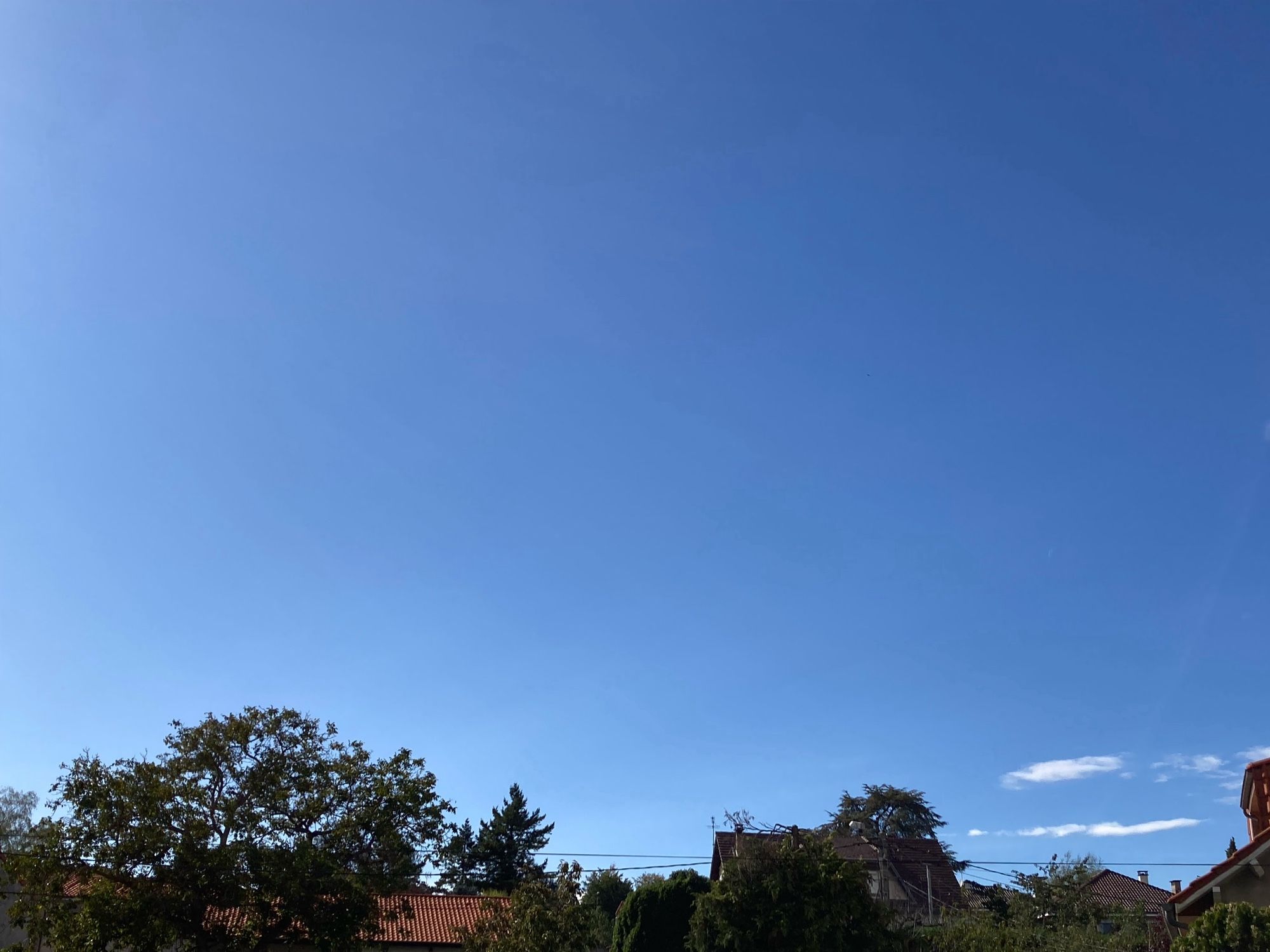 Vendredi après-midi.
Entre de très nombreux passages de nuages chargés de pluie nous avons eu cette très courte éclaircie. 
Le vent les a balayé pour nous donner ce beau ciel bleu avec juste en bas à droite deux traits blancs.
Puis la ronde des nuages a recommencé.