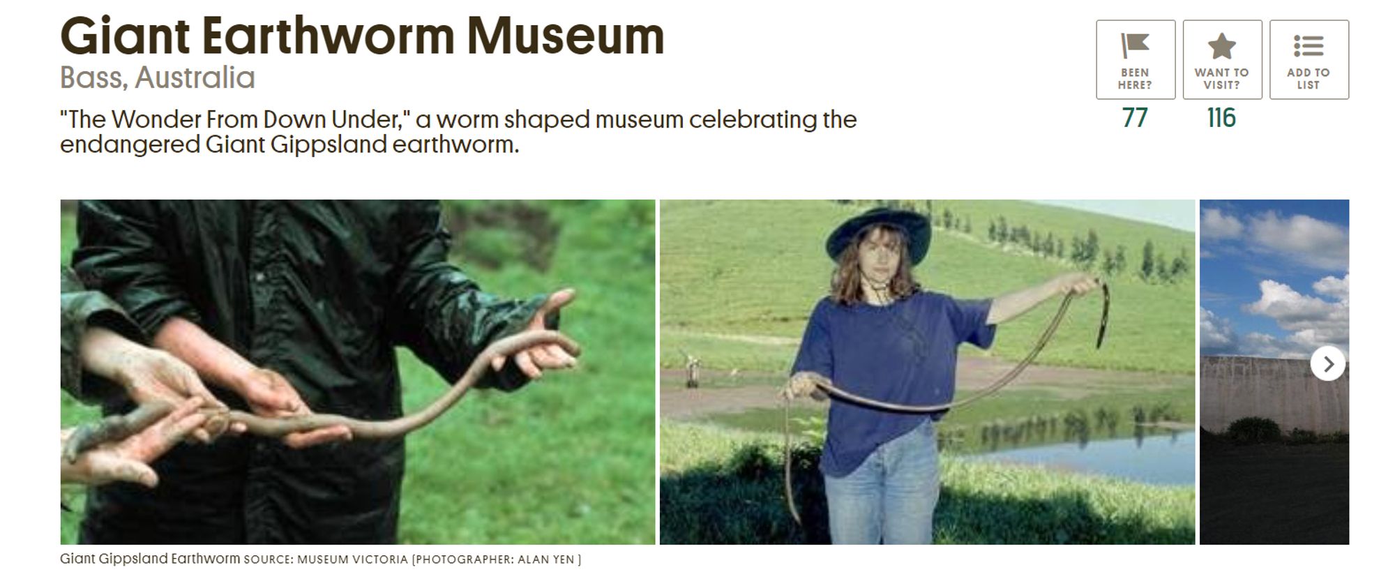 Screengrab from https://www.atlasobscura.com/places/wildlife-wonderlands-giant-earthworm-museum - Giant Earthworm Museum listing (Bass, Australia) with 2 pictures of people holding >1m long worms, Banner says "Permanently Closed"