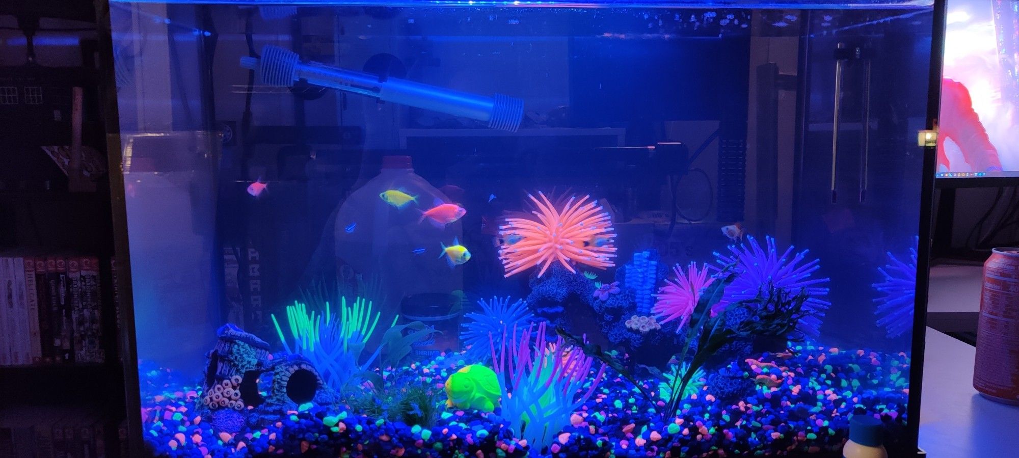 A 20 gallon rectangular fishtank. It's got a couple neon tetras which have bright blue fluorescent stripes, gold and red tetras, which are tall fish in day-glo red and yellow colors, and some golden mickey mouse platies which are small golden fish with spots on their tailfins that look like a Mickey Mouse silhouette.
The whole tank is lit up by a black-light and is gilled with neon fluorescent plantlife and rocks. It's like a fish tank you'd see in a blacklight bowling alley.