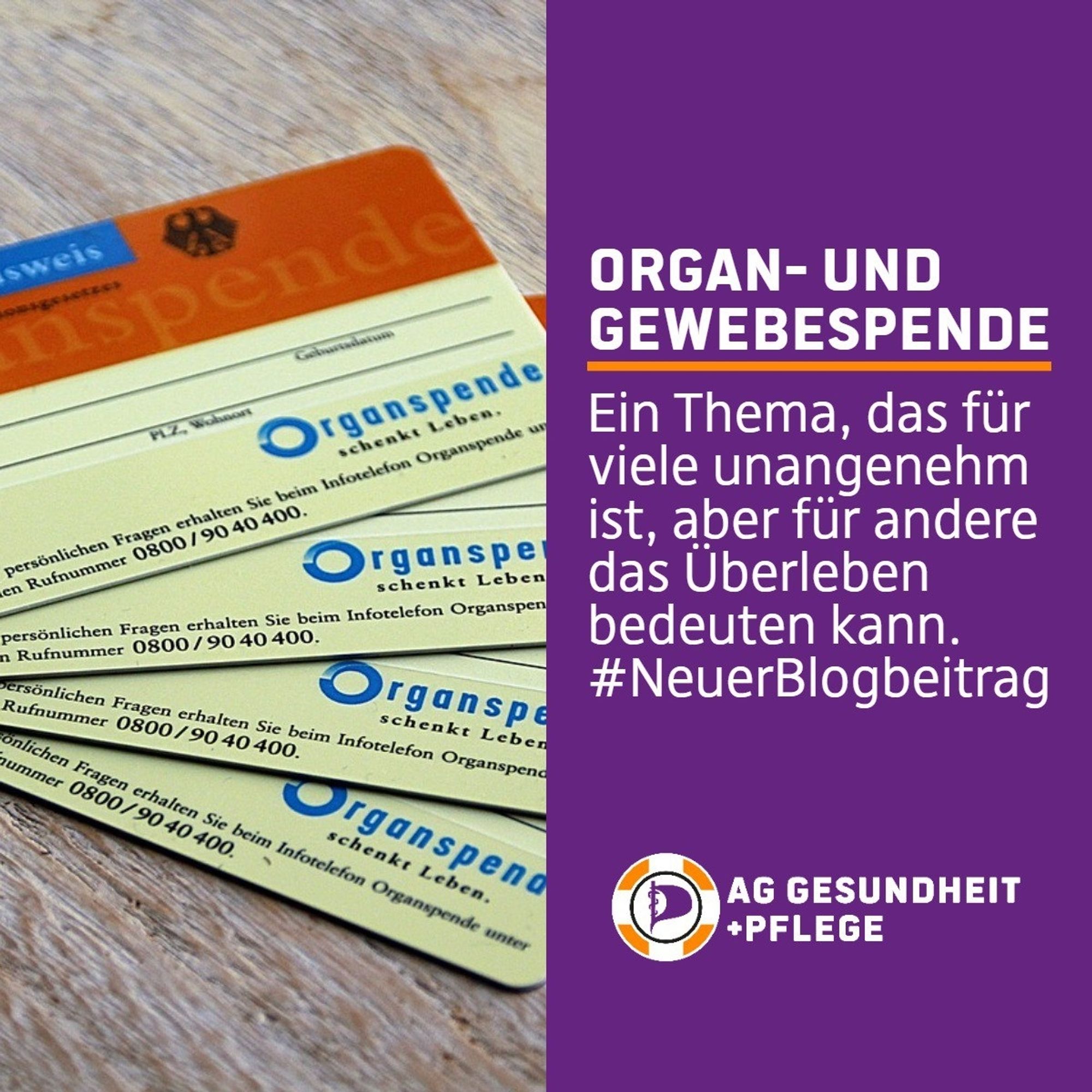 !B Sharepic der AG Gesundheit + Pflege. Auf der linken Seite eine Fotografie von 4 Organspendeausweisen auf einem Holztisch. Auf der rechten Seite auf lilanem Hintergrund folgende Schriftzüge. Überschrift: "Organ- und Gewebespende", darunter eine orangefarbende Trennlinie, hierdrunter geht der Text weiter "Ein Thema, das für viele unangenehm ist, aber für andere das Überleben bedeuten kann.
#NeuerBlobeitrag"