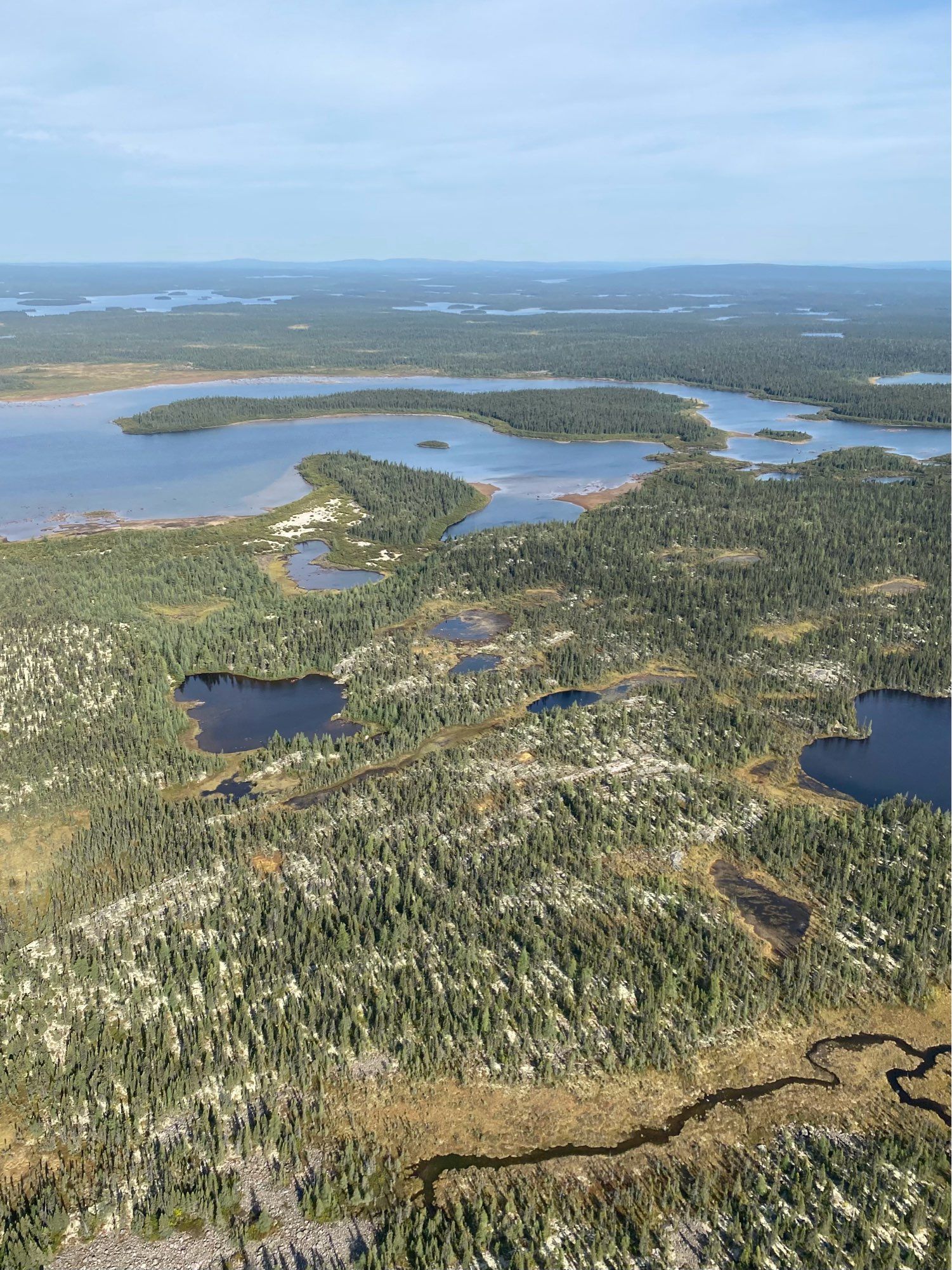 Green marshy spruce forest with twisty aimless streams and lakes, grey granite rocky outcrops