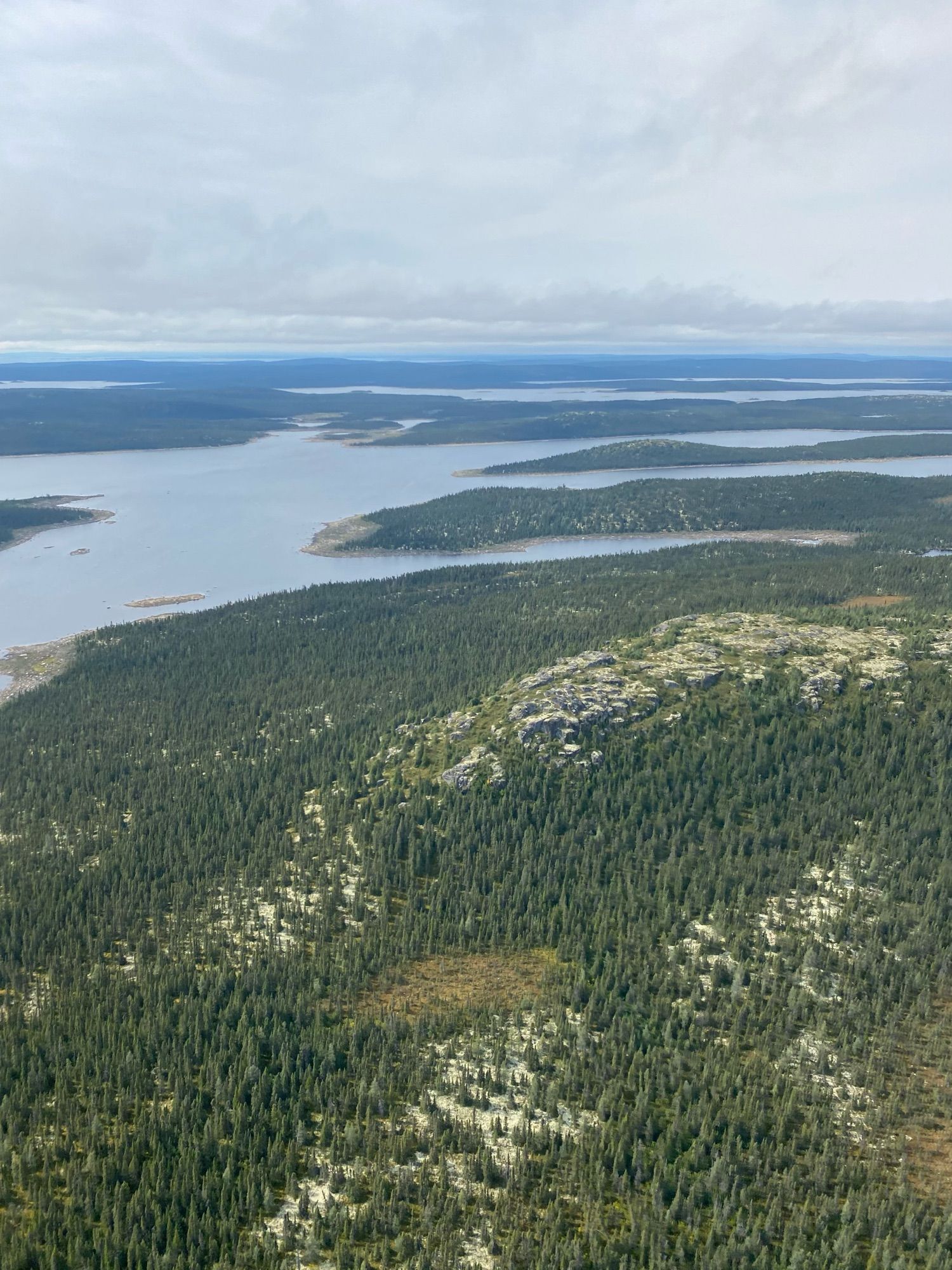 Green spruce boreal forests with grey caribou lichen ground cover amid countless lakes and rivers, gray granite rocky ridges overlooking thousands of lakes