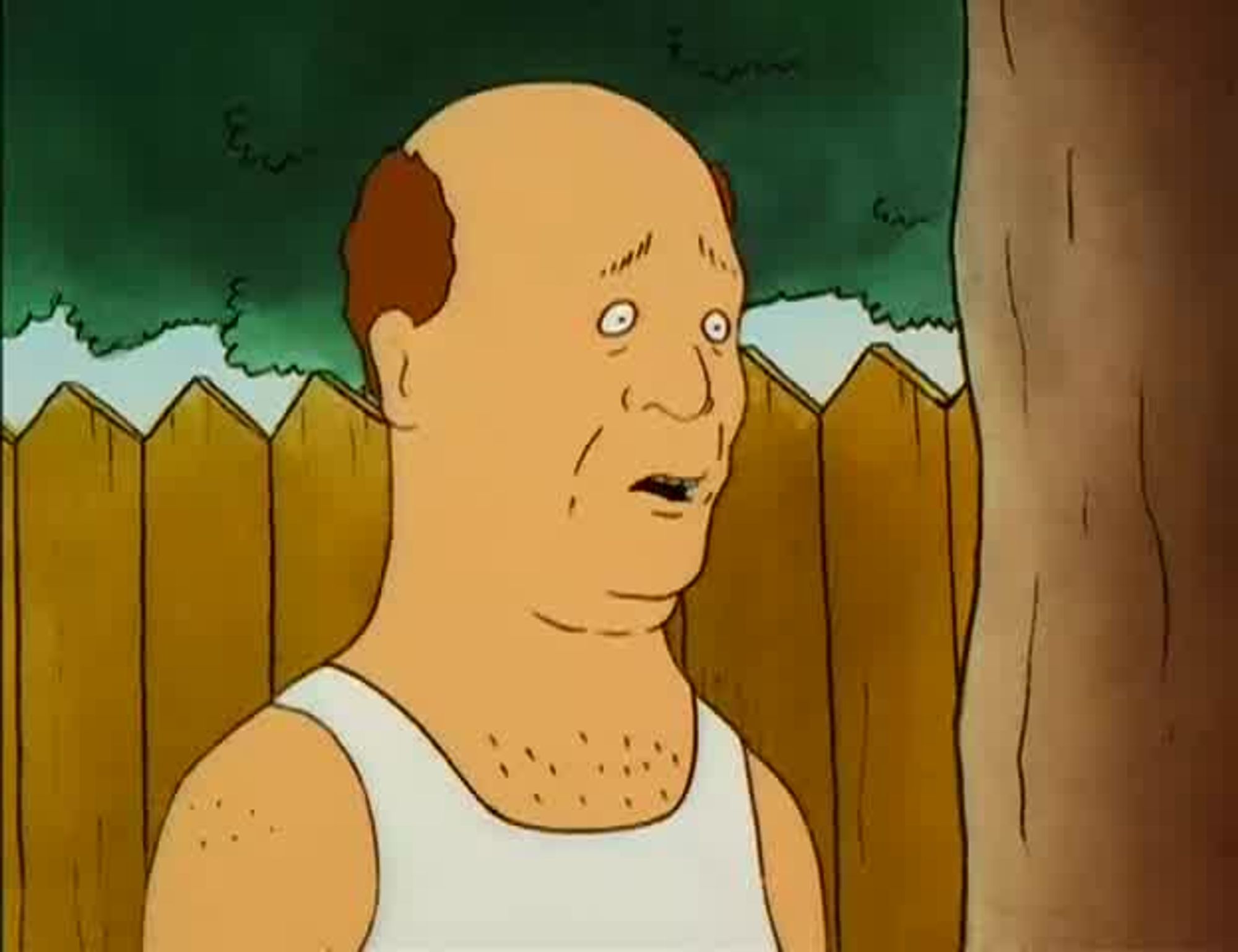 Screenshot from King of the Hill Season 1, Episode 11