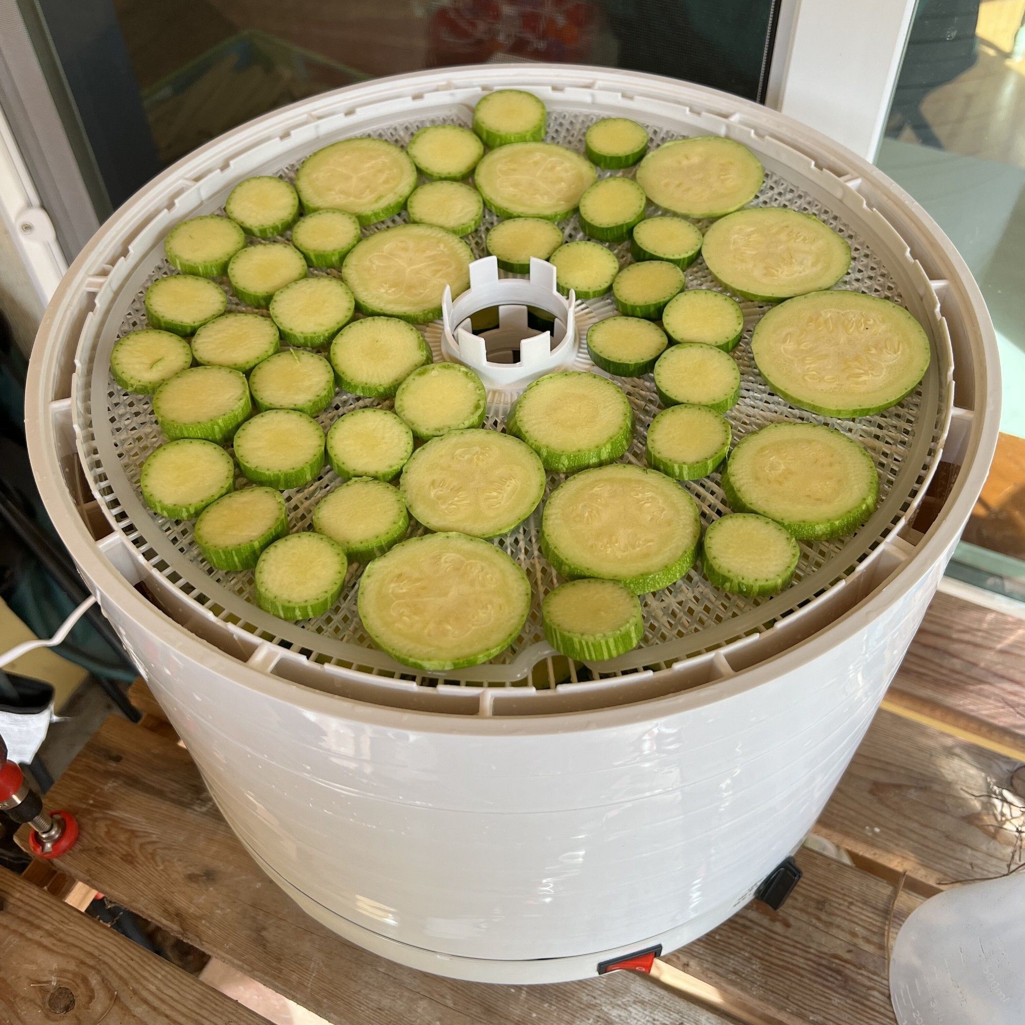 A large white cylindrical food dehydrator sitting on a wooden slat table. The top section of the dehydrator is filled with slices of green-skinned squash.