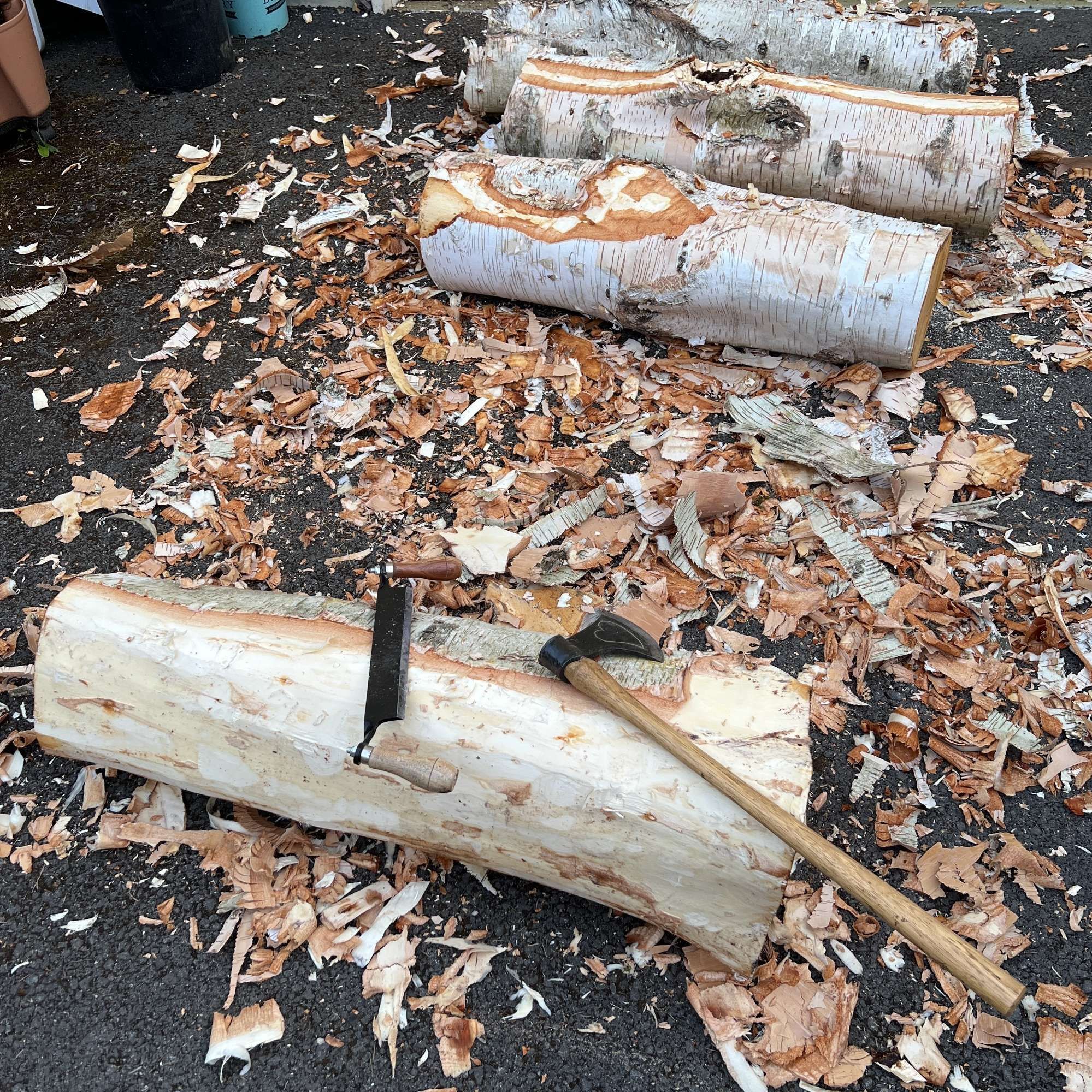 Partially de-barked birch logs sitting on my driveway surrounded by wood chips. A drawknife and long-handled hand axe are resting on the log in the foreground. The axe is engraved with a heart on its visible face.