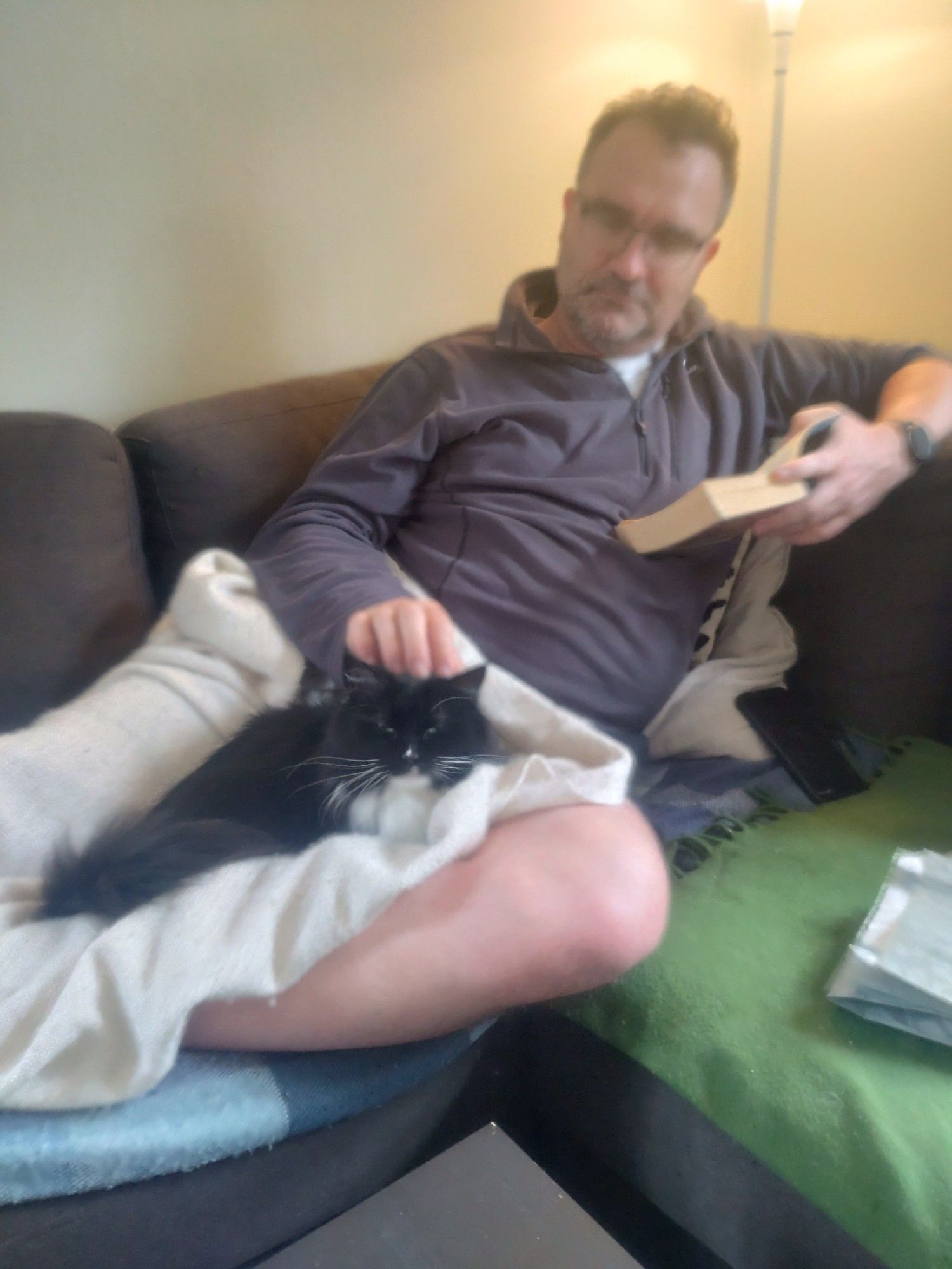 Maud,a black-and-white fluffy cat, lies snuggled in a blanket on her human on the sofa