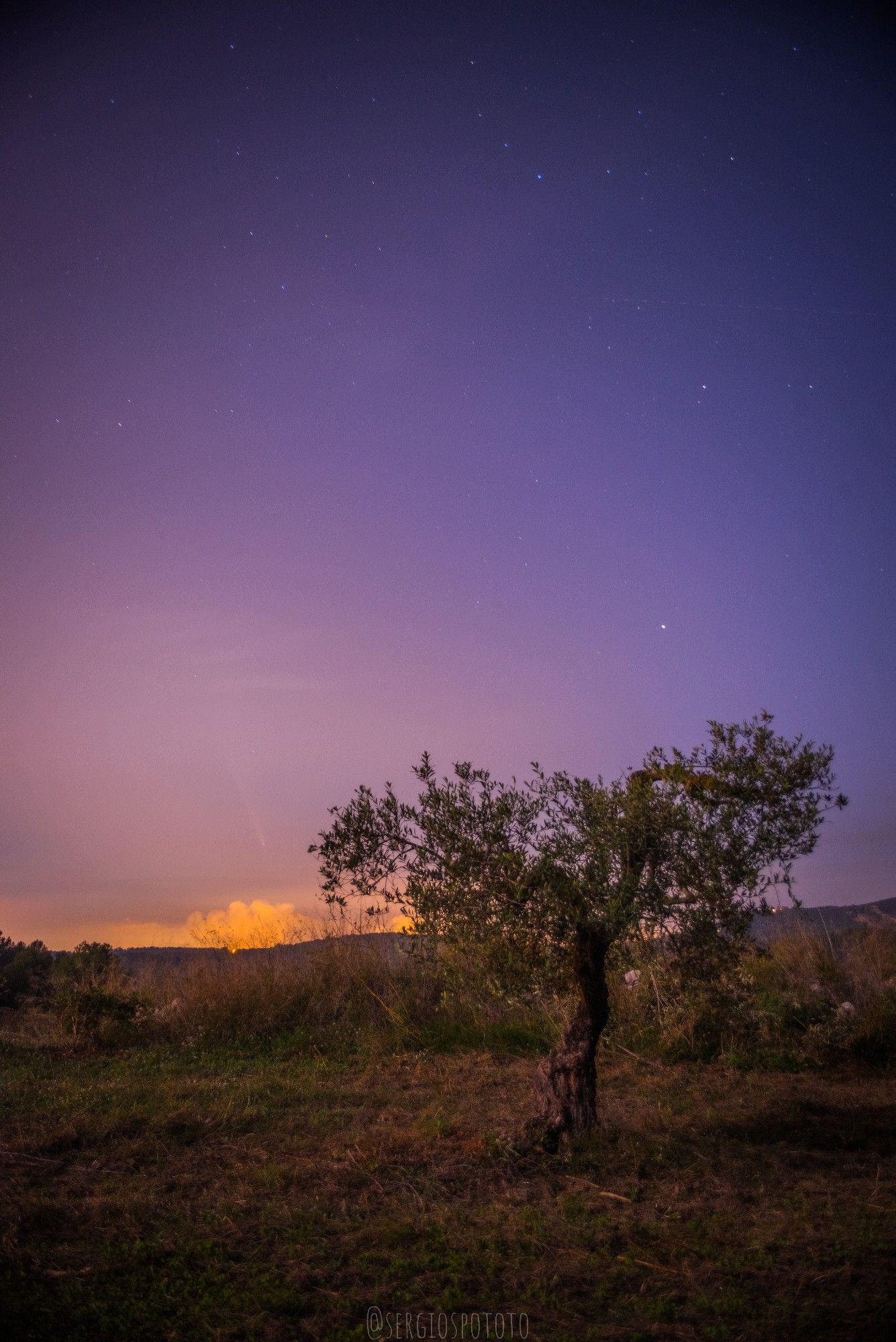 Beneath a sky painted in soft purples and blues, an old, solitary olive tree stands, its branches gently swaying in the night breeze. The horizon glows with a warm, golden hue, as if the sun is saying a distant farewell. Above, a faint but mesmerizing comet streaks across the sky, leaving a delicate, ghostly trail that seems to merge with the twilight. The stars twinkle softly, scattered like tiny diamonds across the serene, darkening expanse, creating a sense of vastness and stillness. The scene feels both calm and profound, as if nature is whispering a quiet, eternal secret. 
Comet C2023 A3 Tsuchinshan-Atlas 

Nikon d750 30mm F5 ISO 800 20s