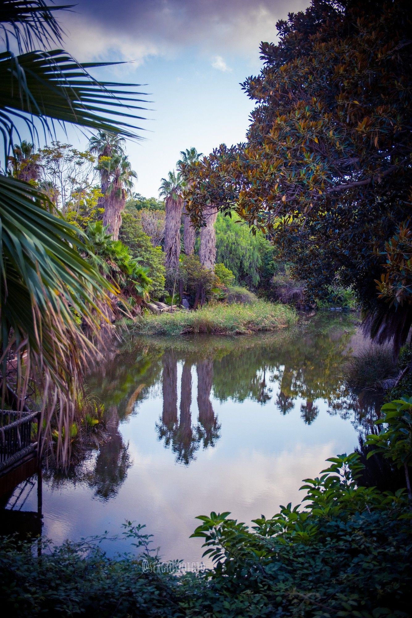 Reflections of palm trees on a calm water. The sky is cloudy, and the scene is framed with some other vegetation, with a contrast between the shadows and the light.
PortAventura park, Vila-seca