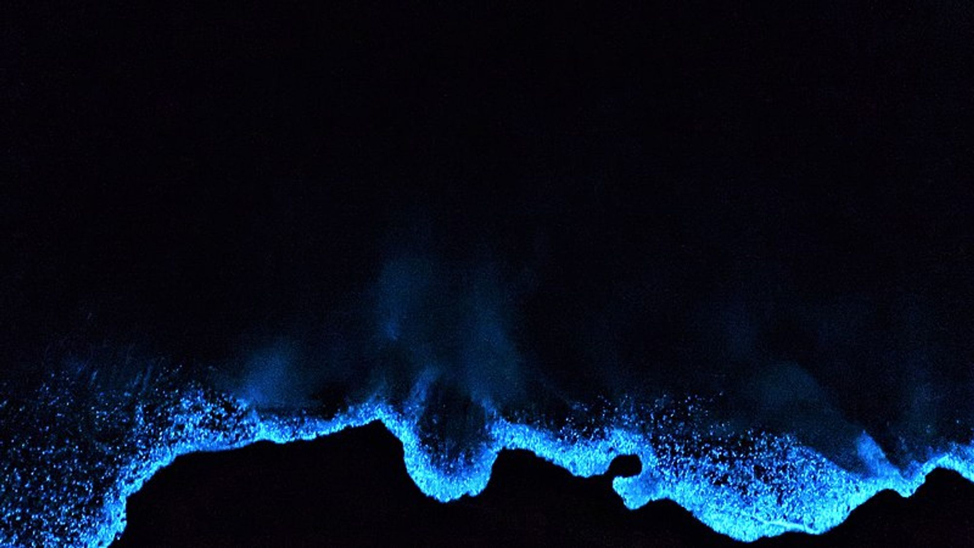 A swirl of bright blue bioluminescence in the darkness, photographed from above. CC license details at https://commons.wikimedia.org/wiki/File:Meeresleuchten.jpg