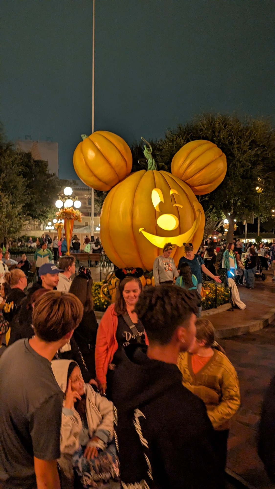 A giant Mickey shaped Jack O Lantern