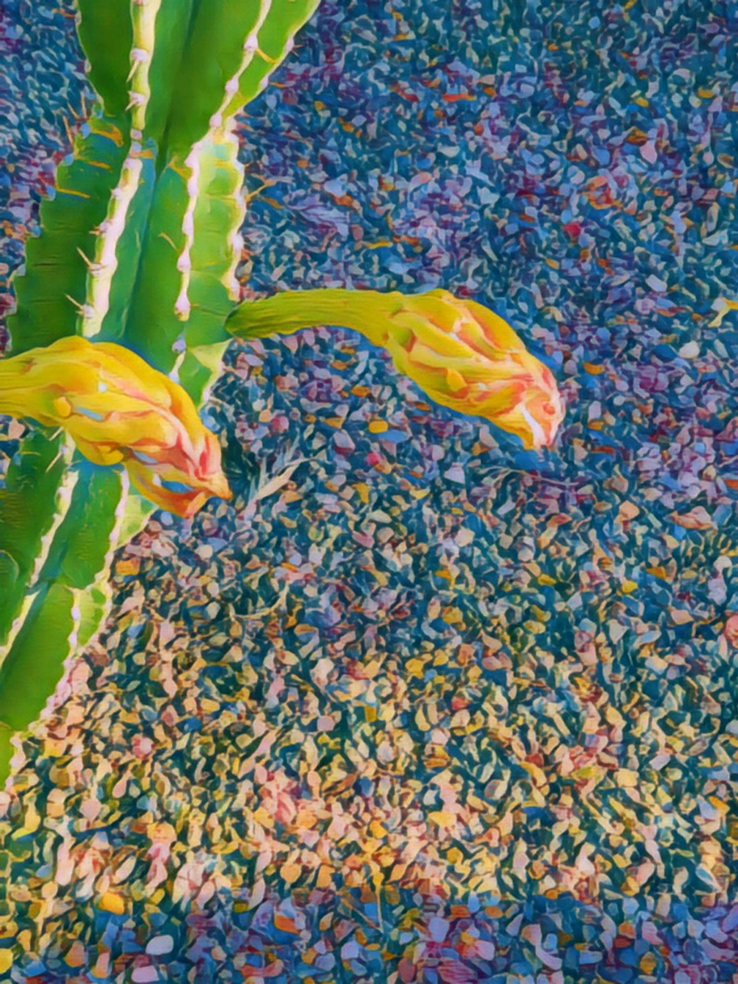 A watercolor filter upon a photo of the one day old flowers from the CereusRepandus columnar cactus in my front yard. art.