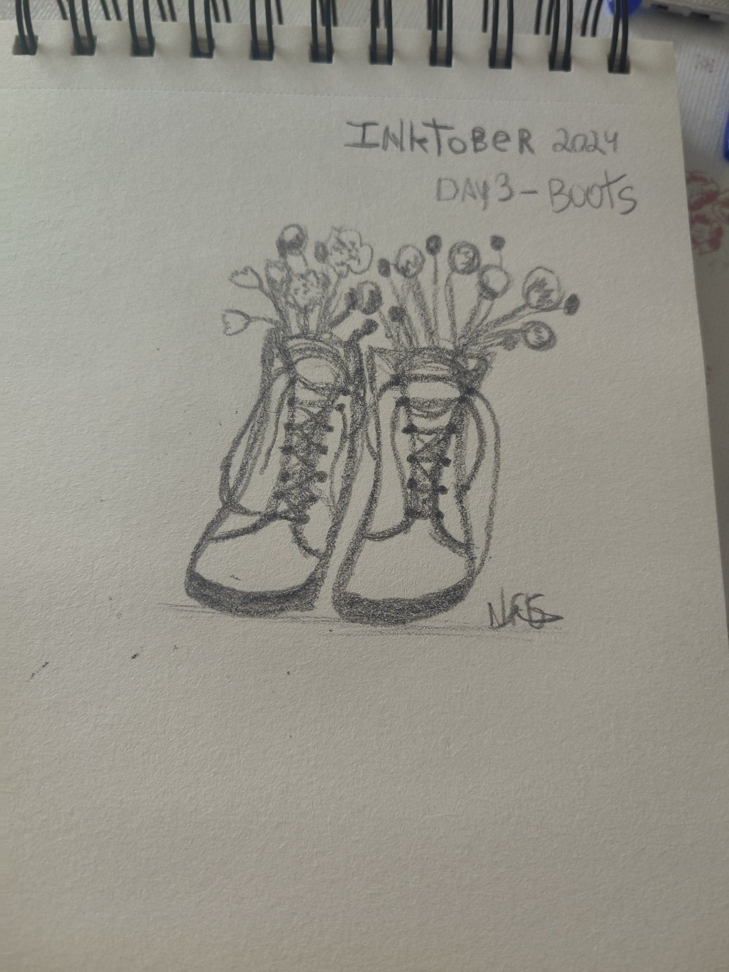 Desenho de uma bota(com cadarços) e flores dentro