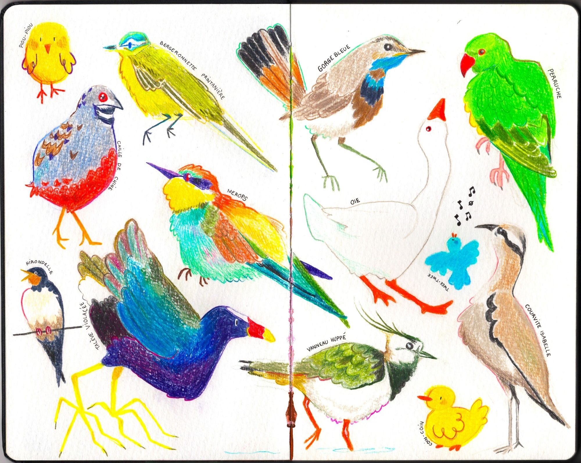 A bunch of colored birds