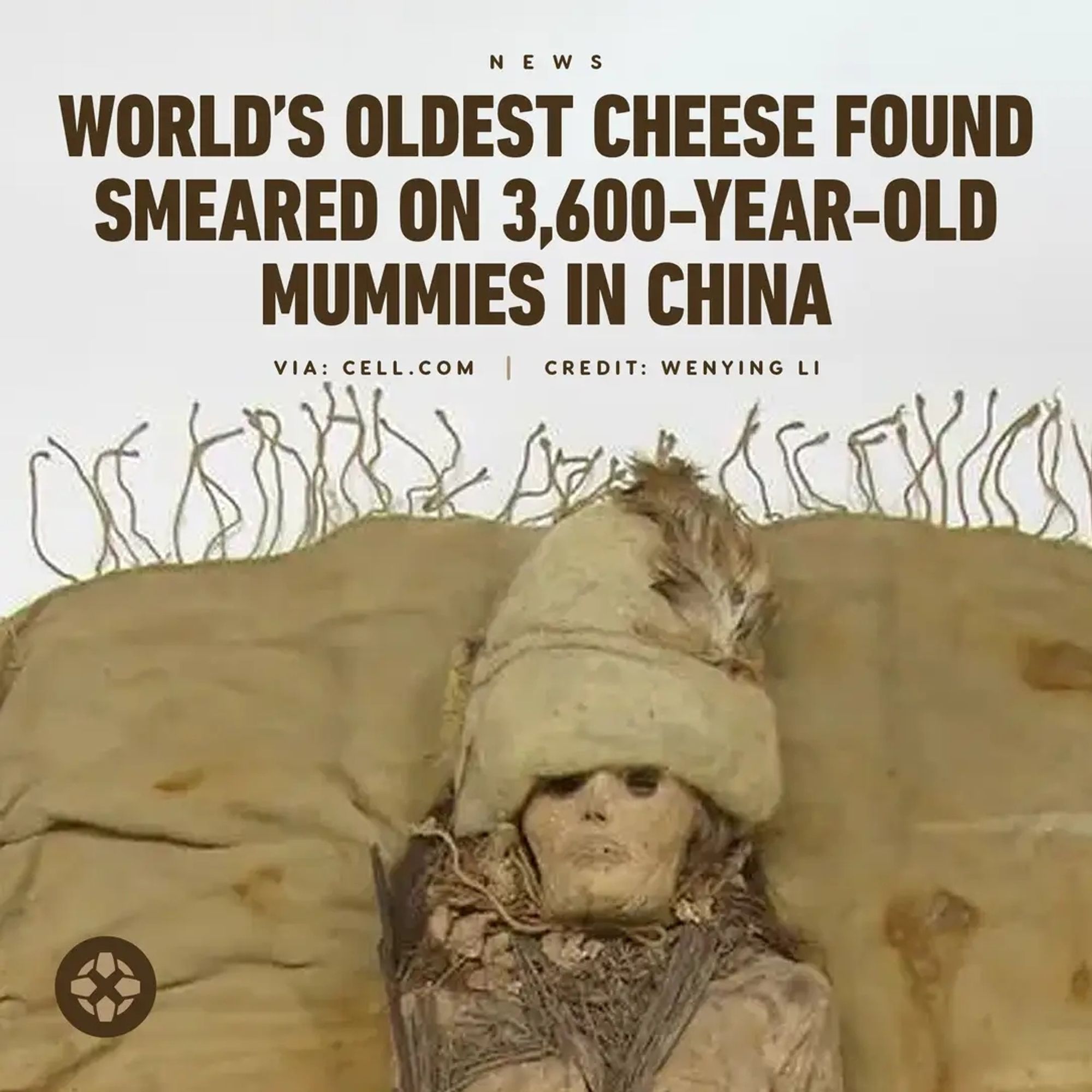 "World's oldest cheese found smeared on 3600-year-old mummies in China"
via: Cell.com | Credit: Wenying Li