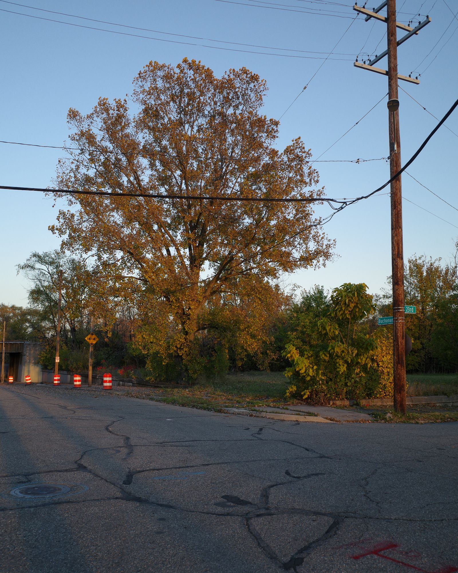 Color photograph looking across a street corner at a utility pole and power lines and some trees in late golden sunlight