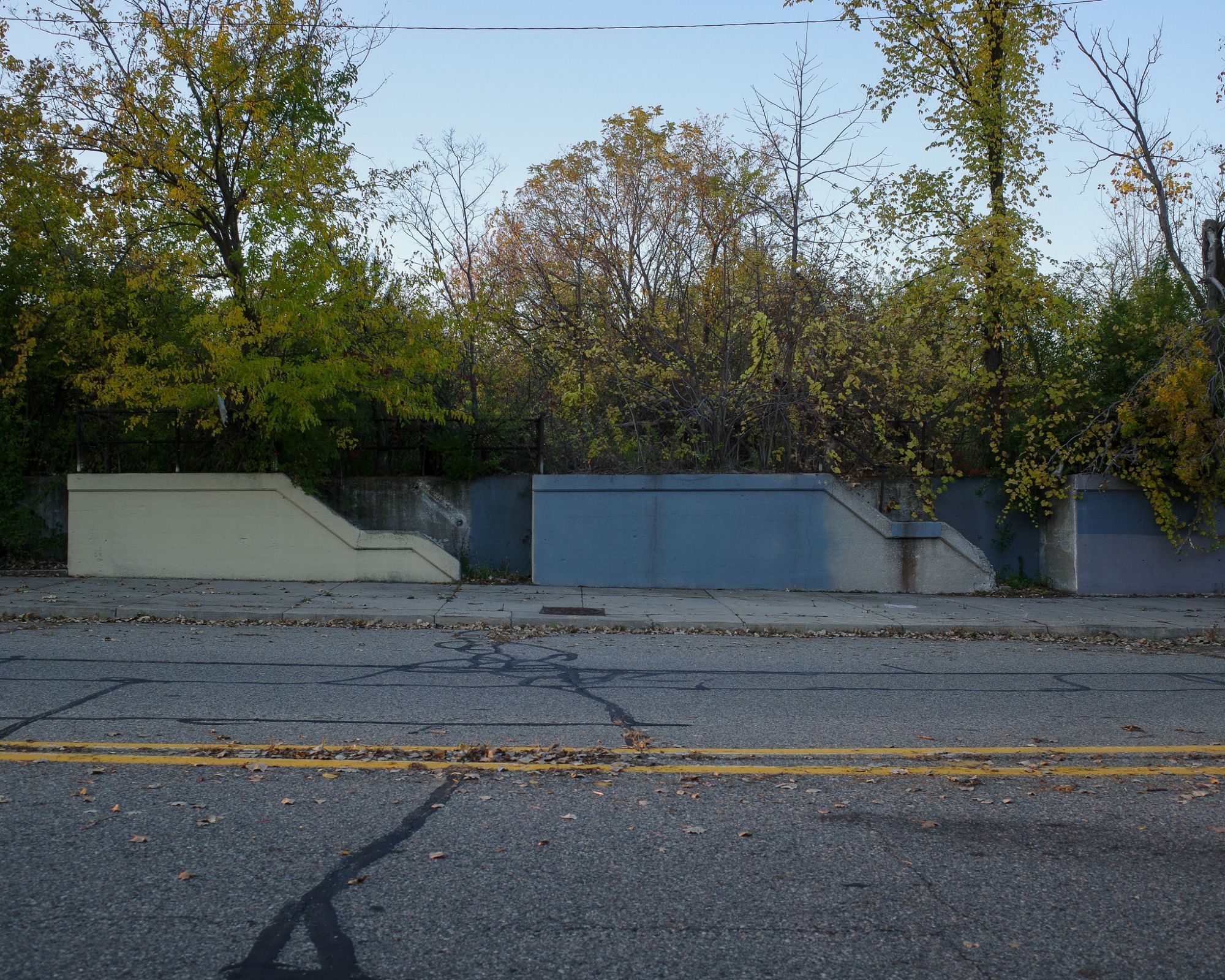 Color photograph looking across a street at a sidewalk lined with a row of stairways the go up along the side of a concrete embankment, at the top of which is land totally overgrown by trees and bushes