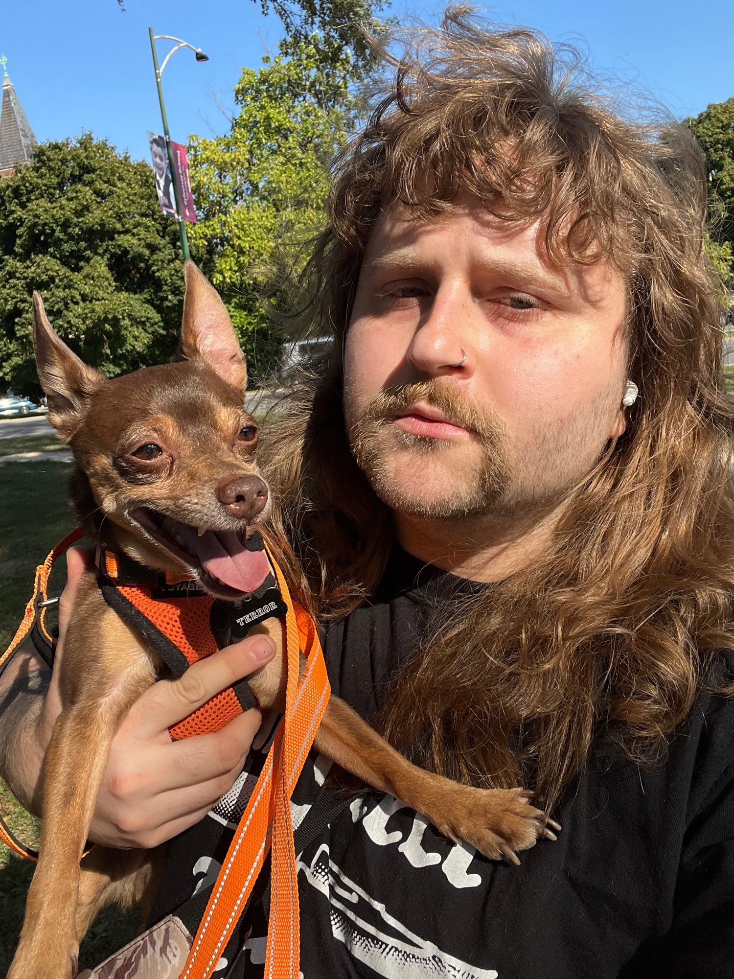 me outside in a black tee, holding a smiling , brown chihuahua in an orange harness