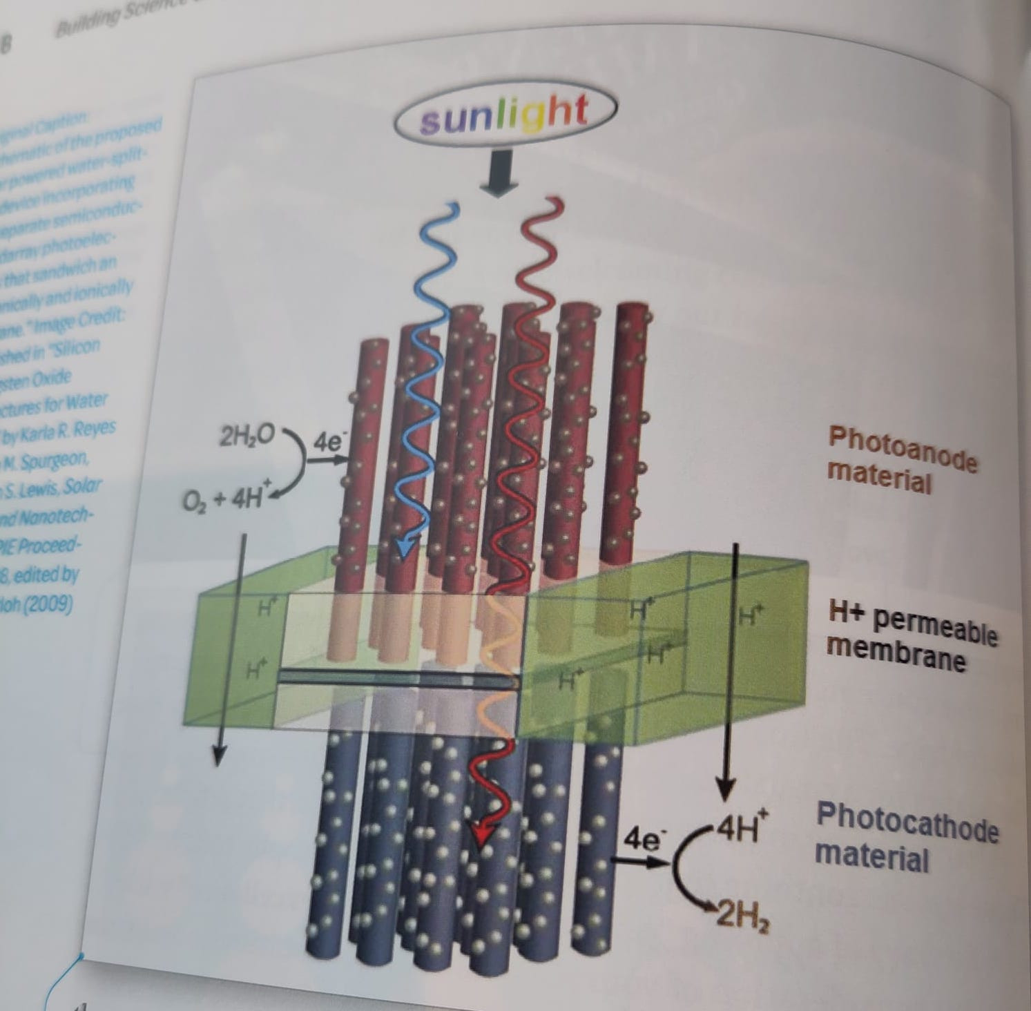 A scientific figure...