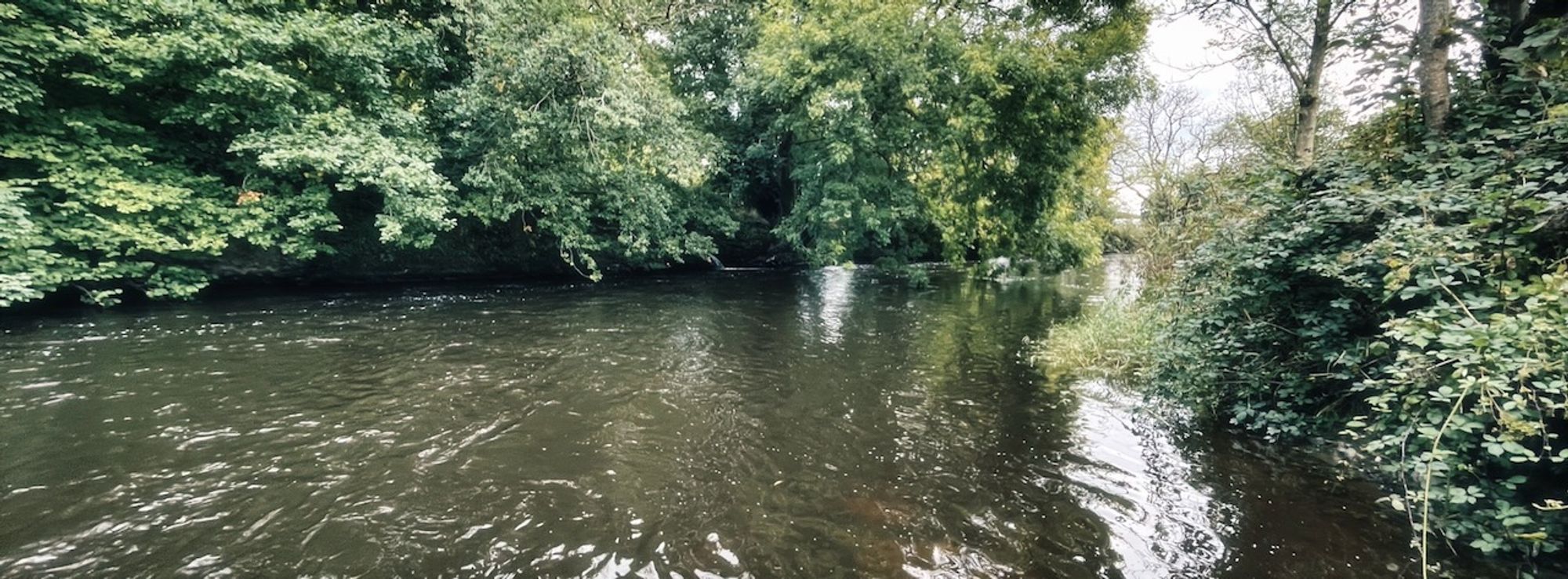 River flowing through woodland with trees on both banks.