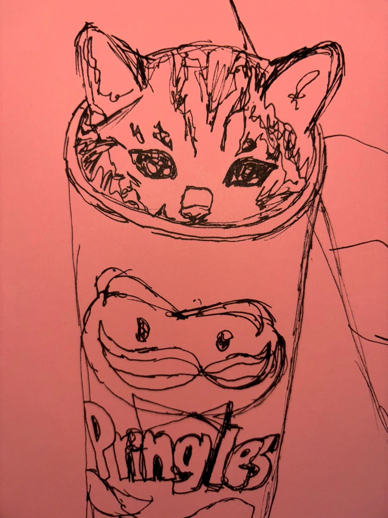 pen sketch of a crying kitten in a pringles can