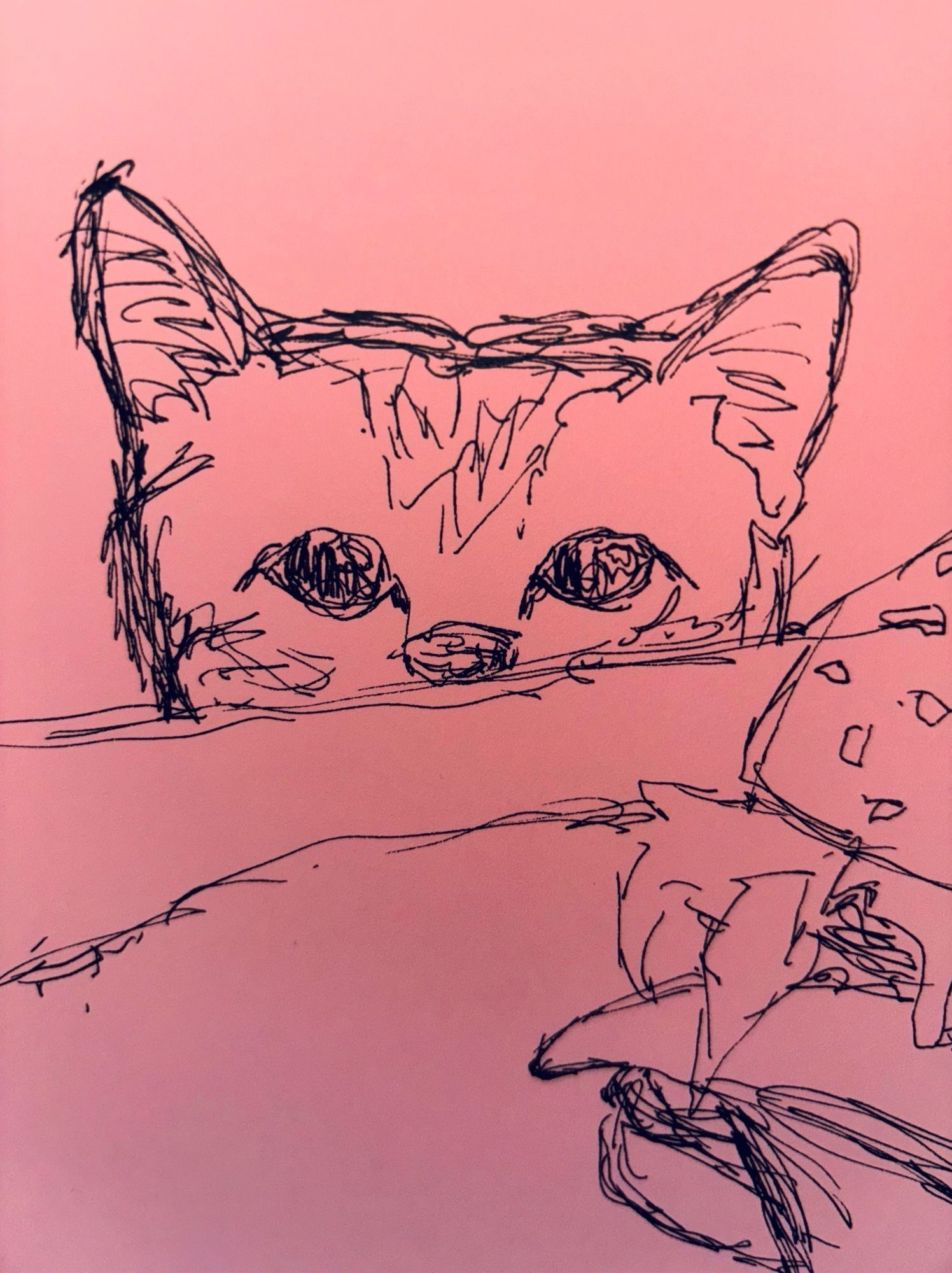 pen sketch of a cat staring at a burger on a table