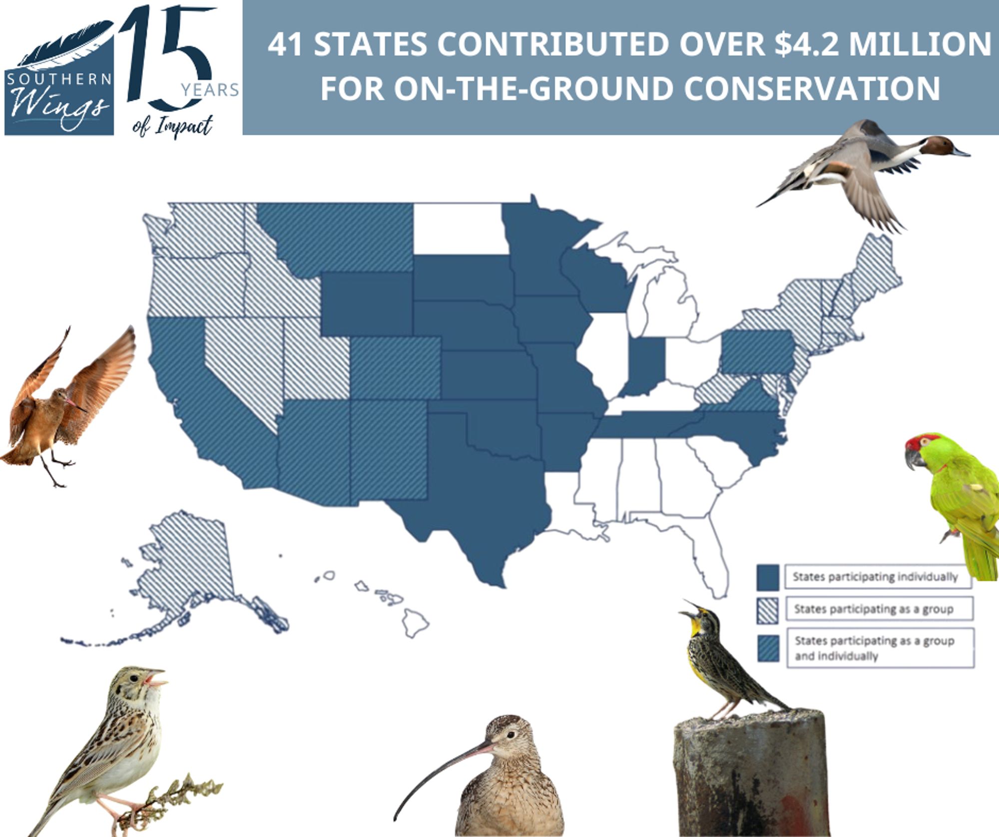 Infographic titled '15 Years of Impact' by Southern Wings showing a map of the USA with 41 states shaded in blue, indicating their contribution of over $4.2 million to on-the-ground conservation. The map is adorned with images of various birds, including a hummingbird, a woodpecker, a parrot, and a curlew.