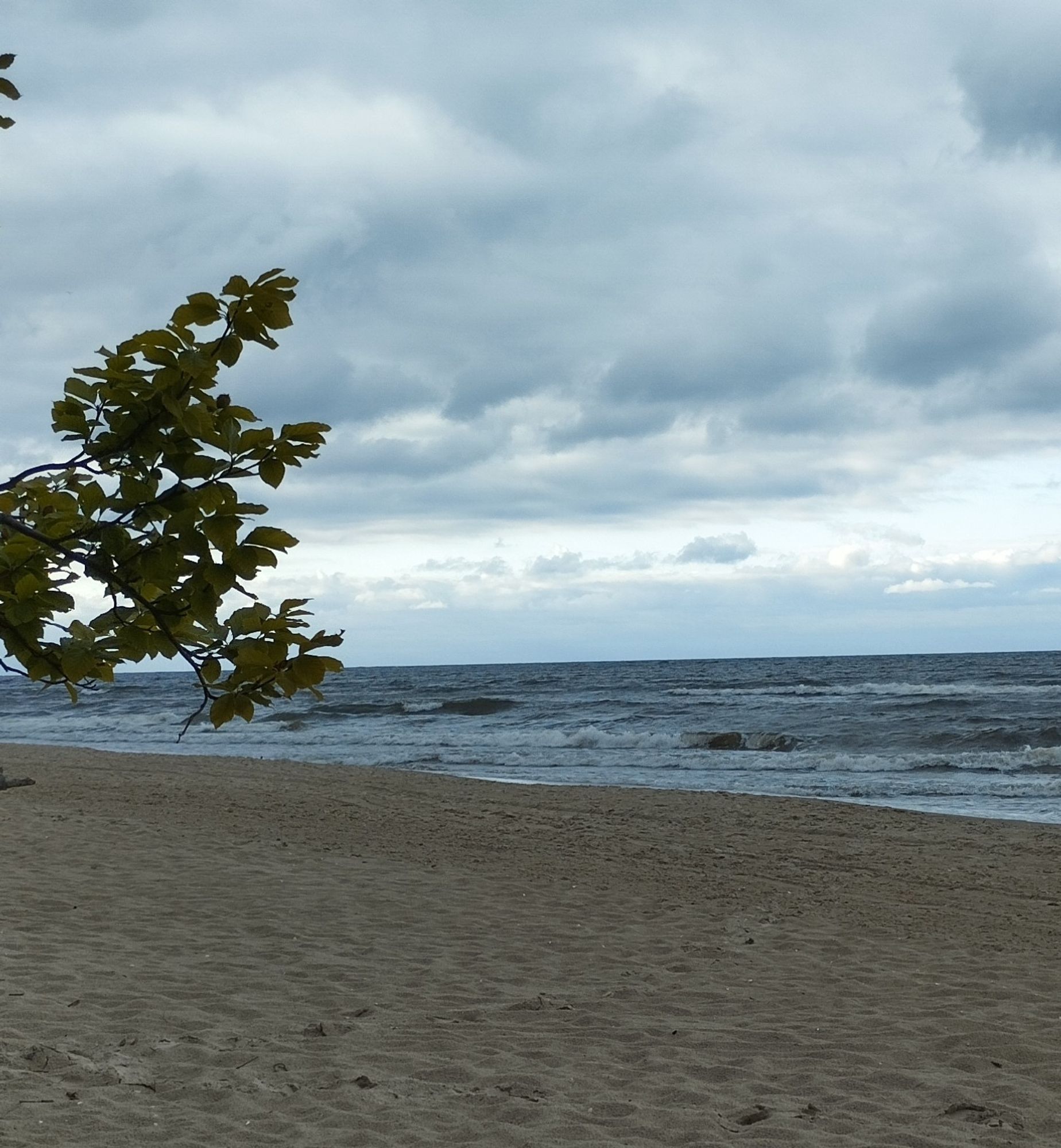 Foto von Strand,.links ein Baum