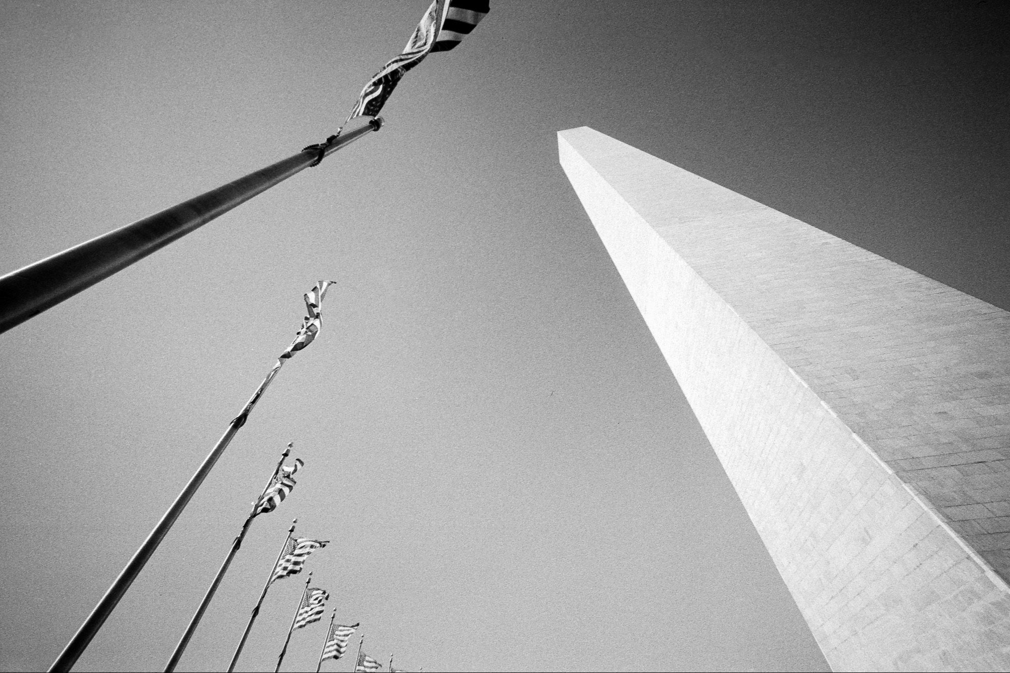 The Washington DC monument converging to center surrounded by American flag poles in a vaguely sinister way