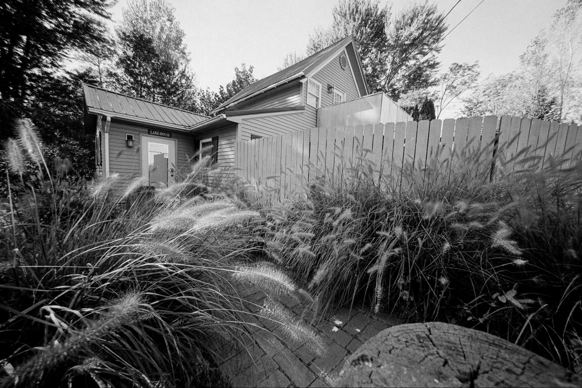 An ultra-wide angle black-and-white photo of a rental lake house surrounded by decorative grasses